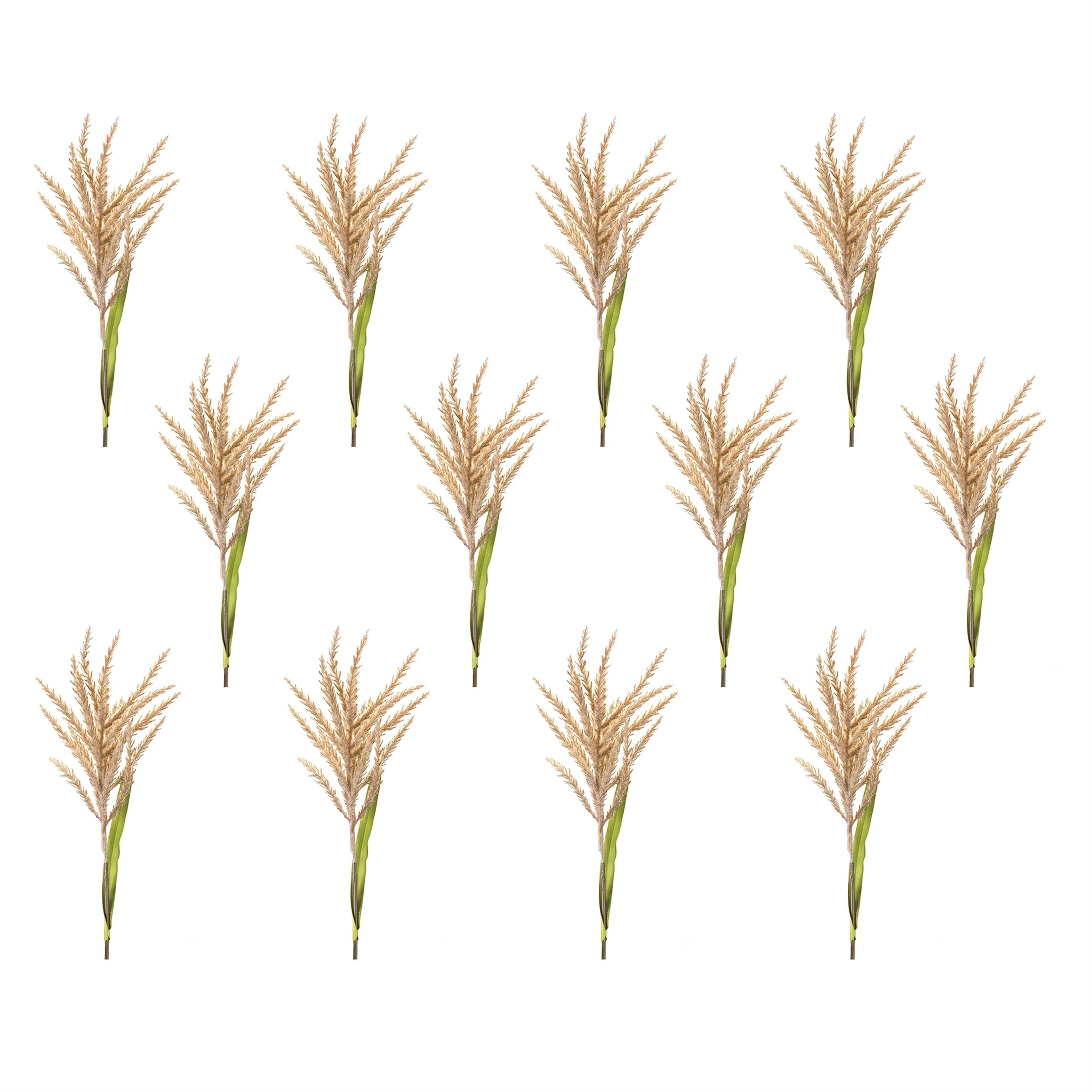Astilbe stem (set of 12) - Image 5