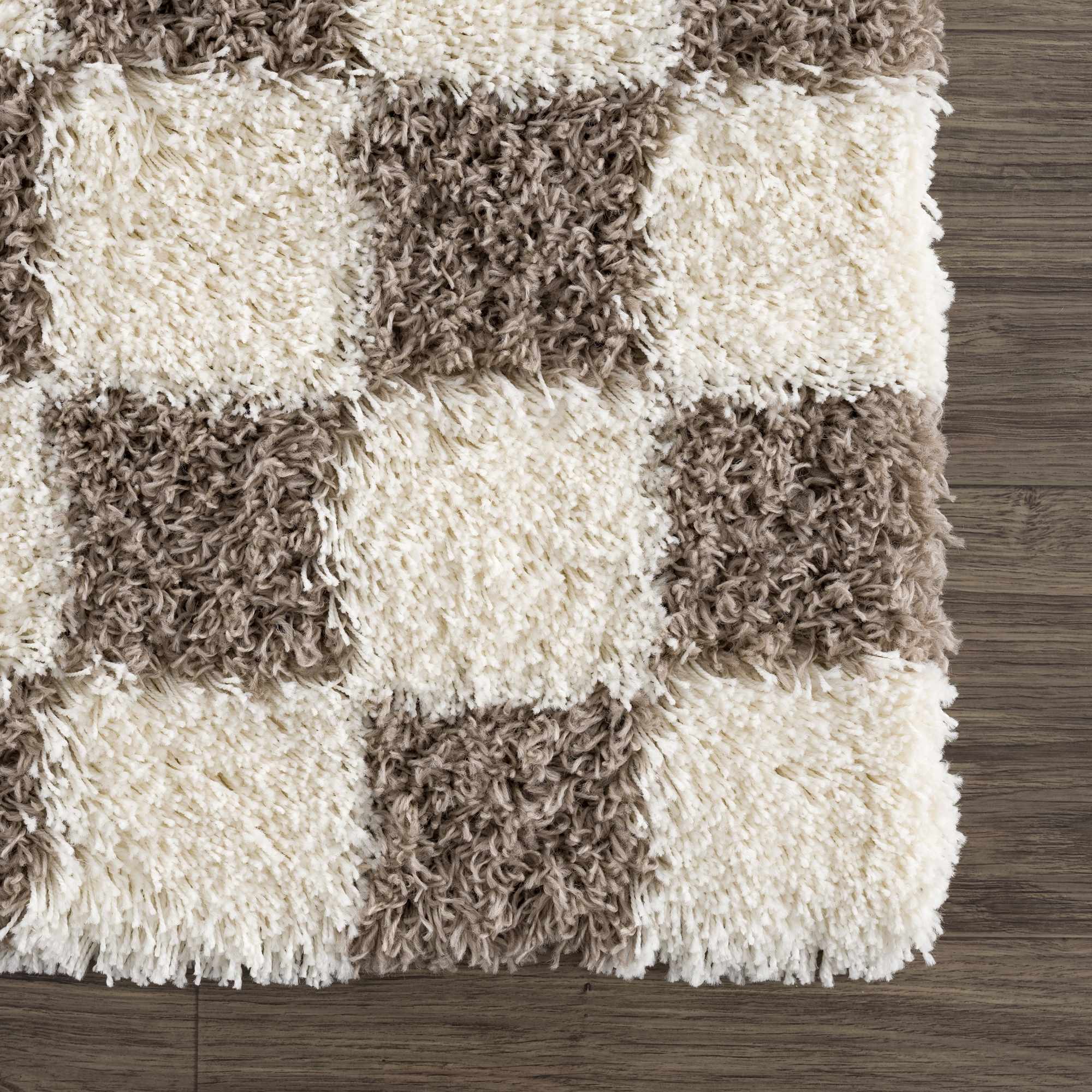 Atira Brown Checkered Area Rug - Image 11