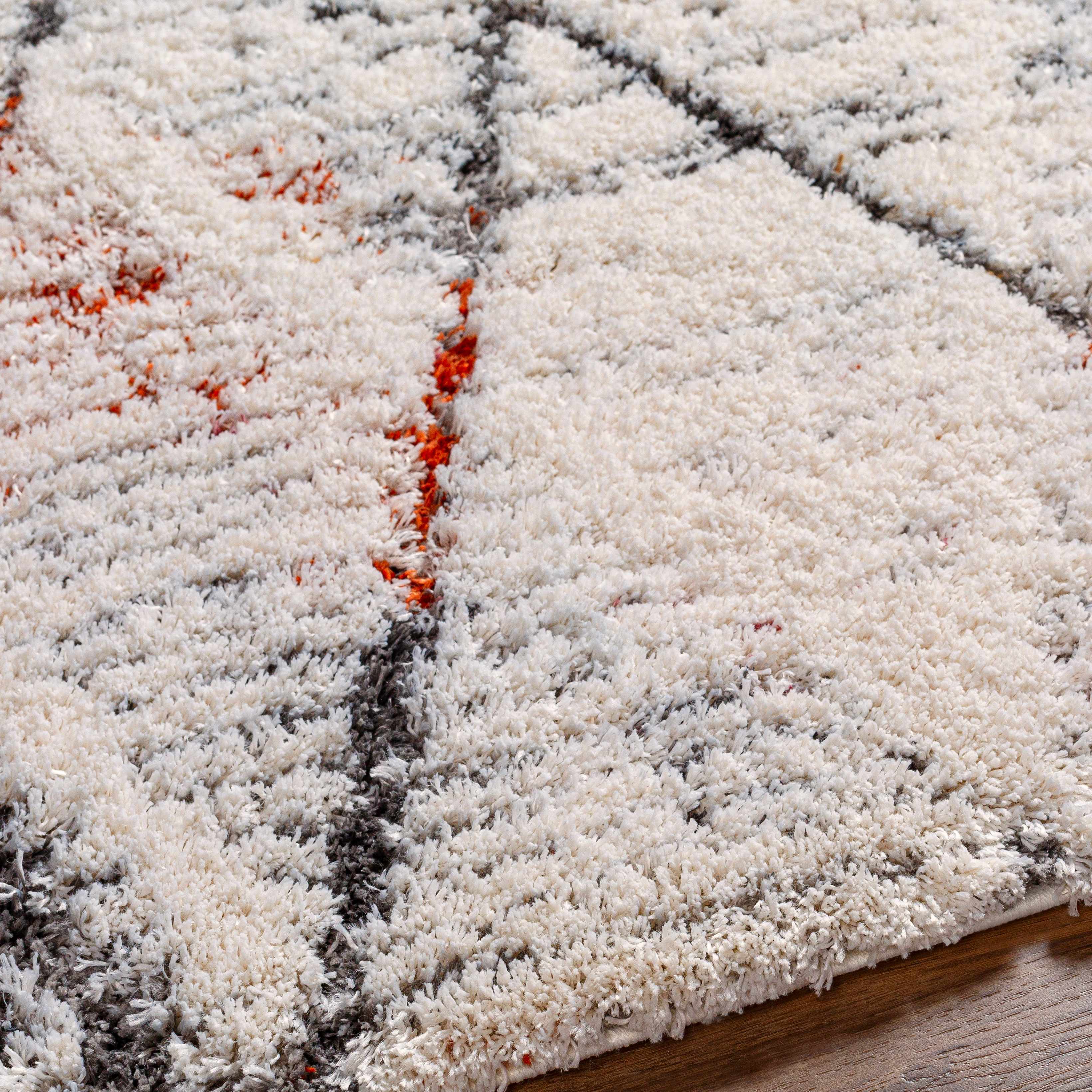 Atish Area Rug - Clearance - Image 4