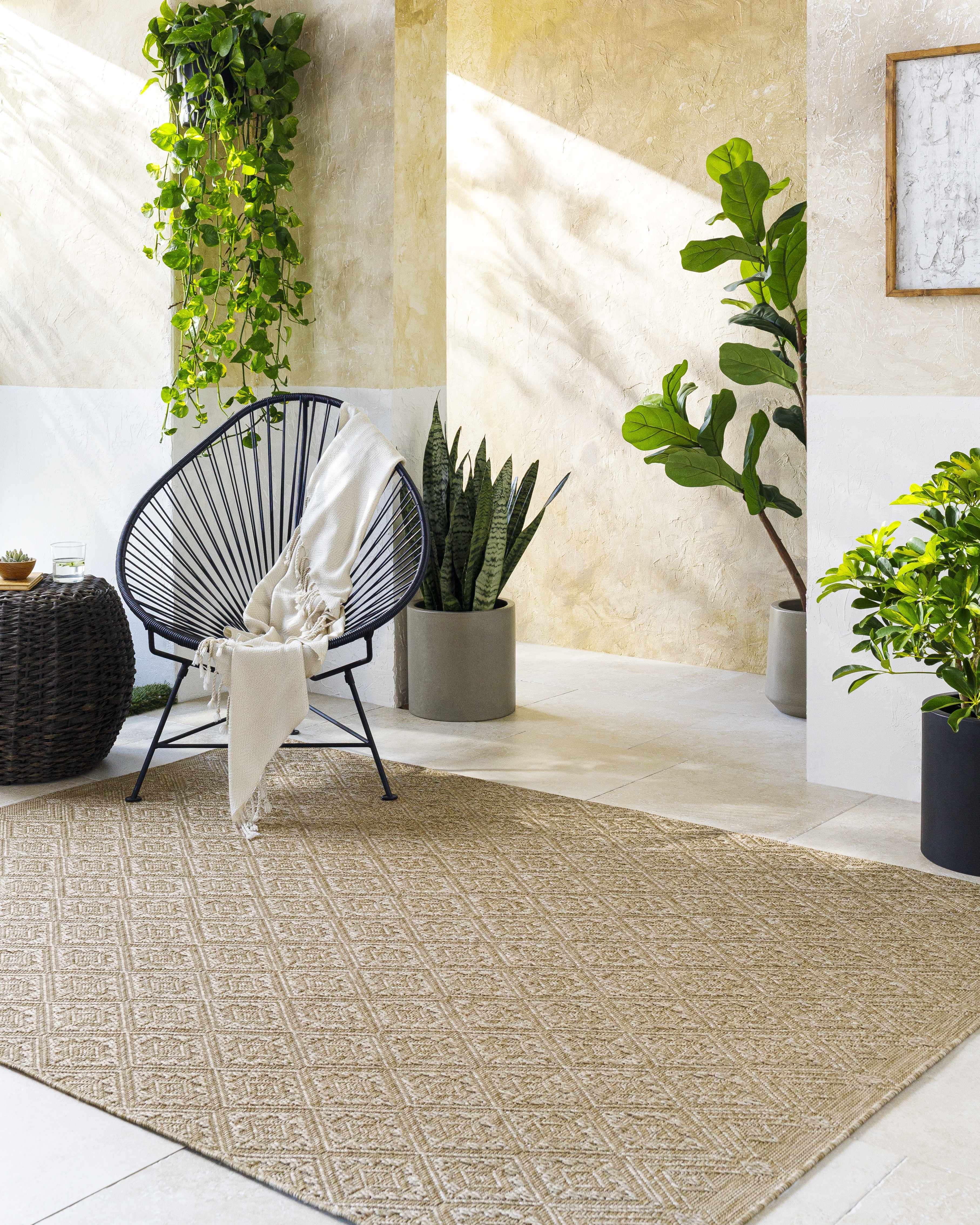 Bandit Brown Area Rug - Image 2