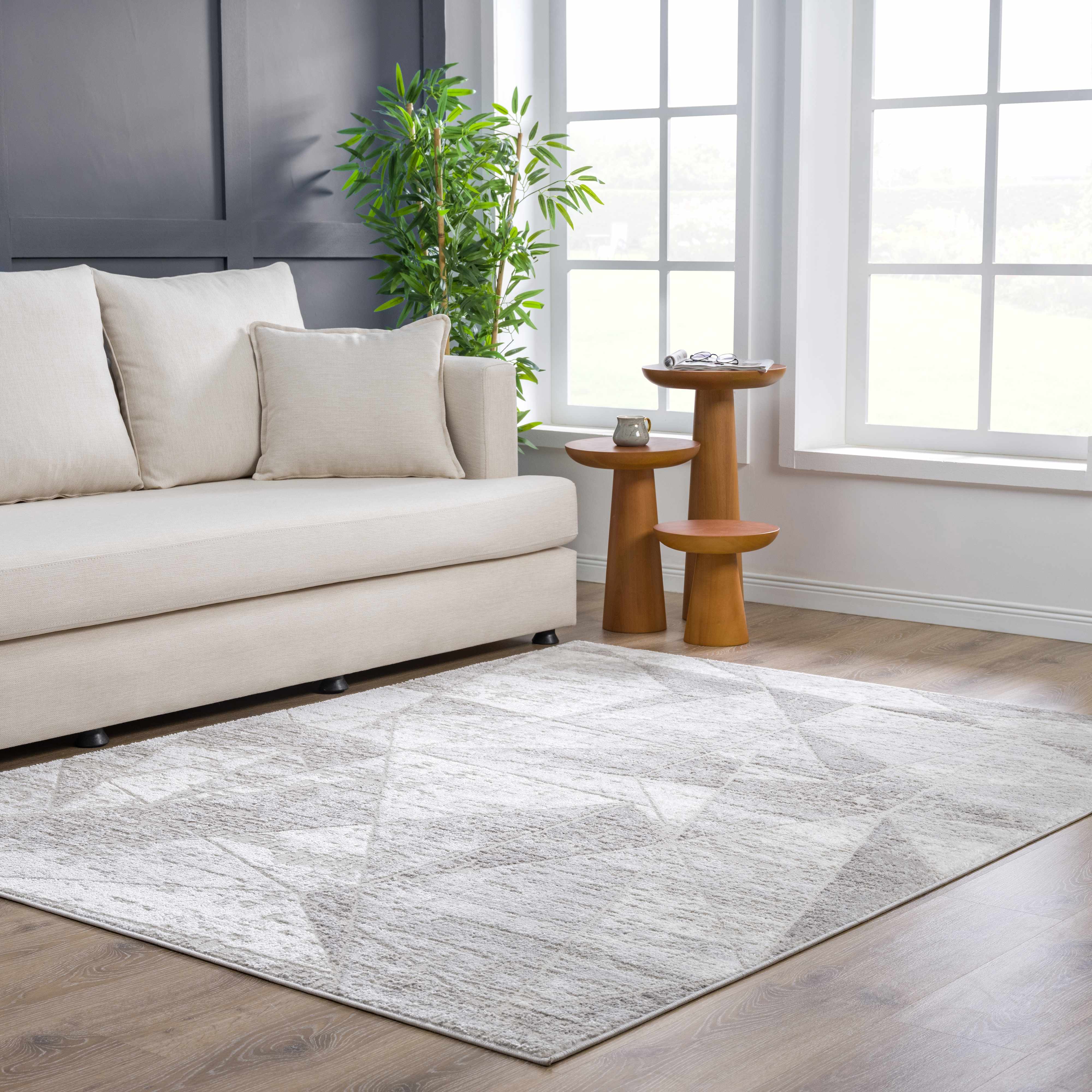 Basia Area Rug - Image 4