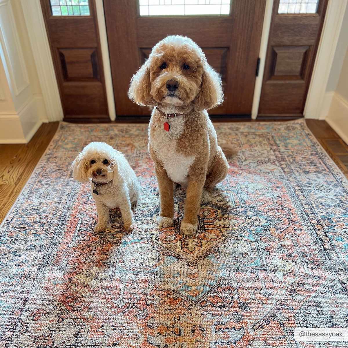 Beck Peach Washable Area Rug - Clearance - Image 4