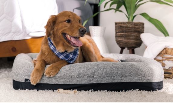 BedGear Performance Pet Bed, XL - Image 4