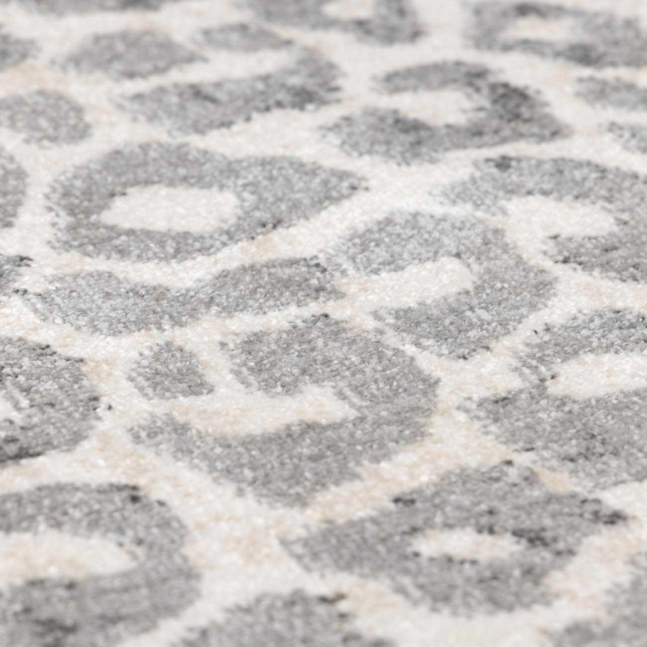Beige Liversedge Leopard Print Area Rug - Image 11