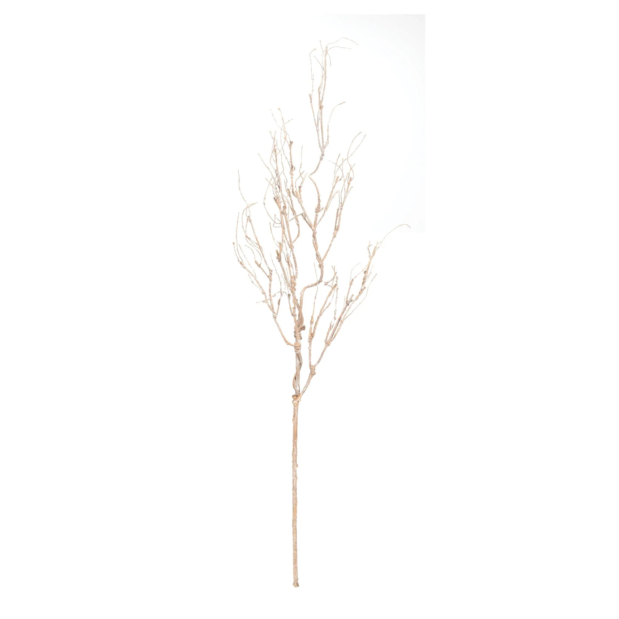 Beige twig branch (set of 6) - Image 2