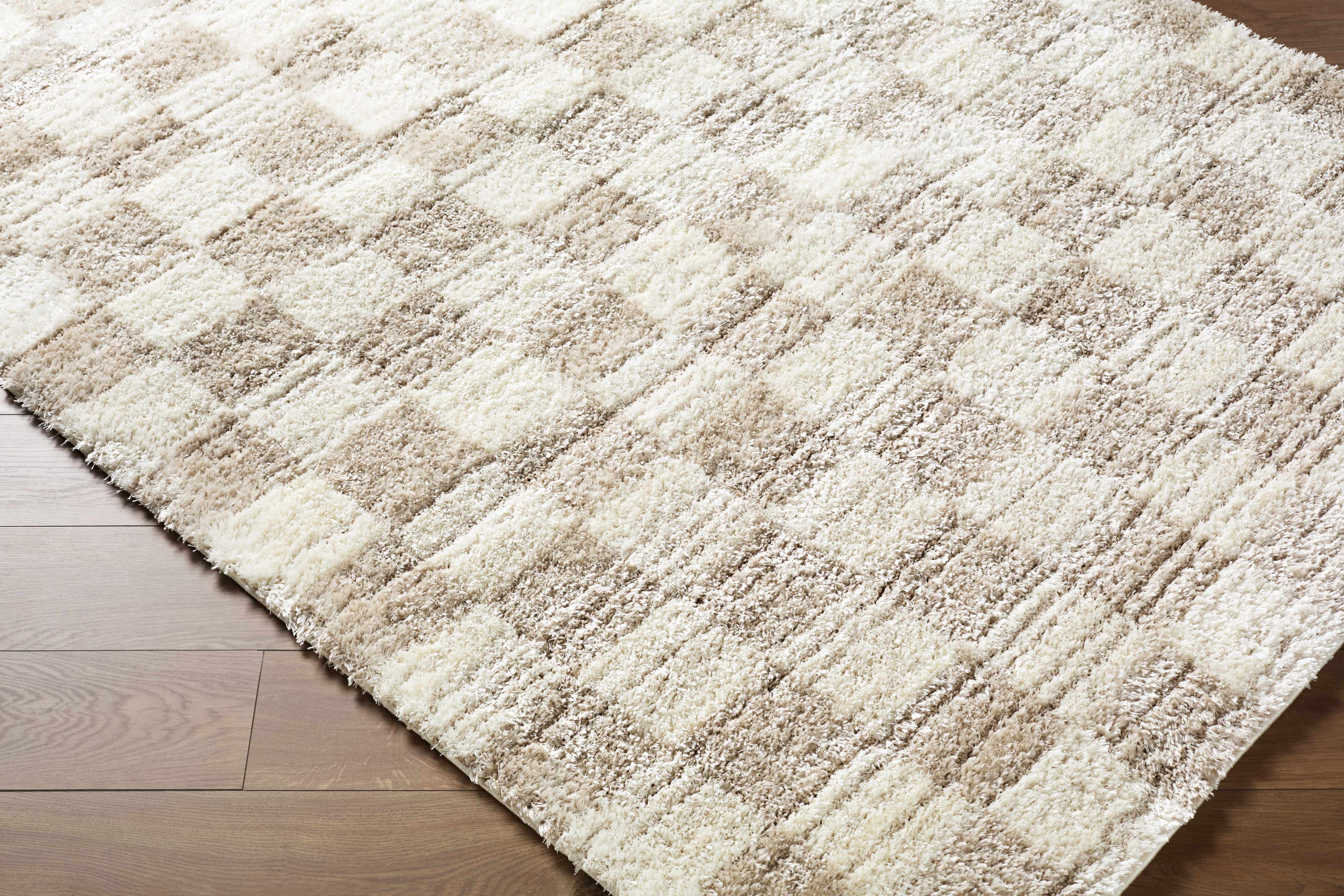 Belita Beige Luxe Shag Area Rug - Image 3