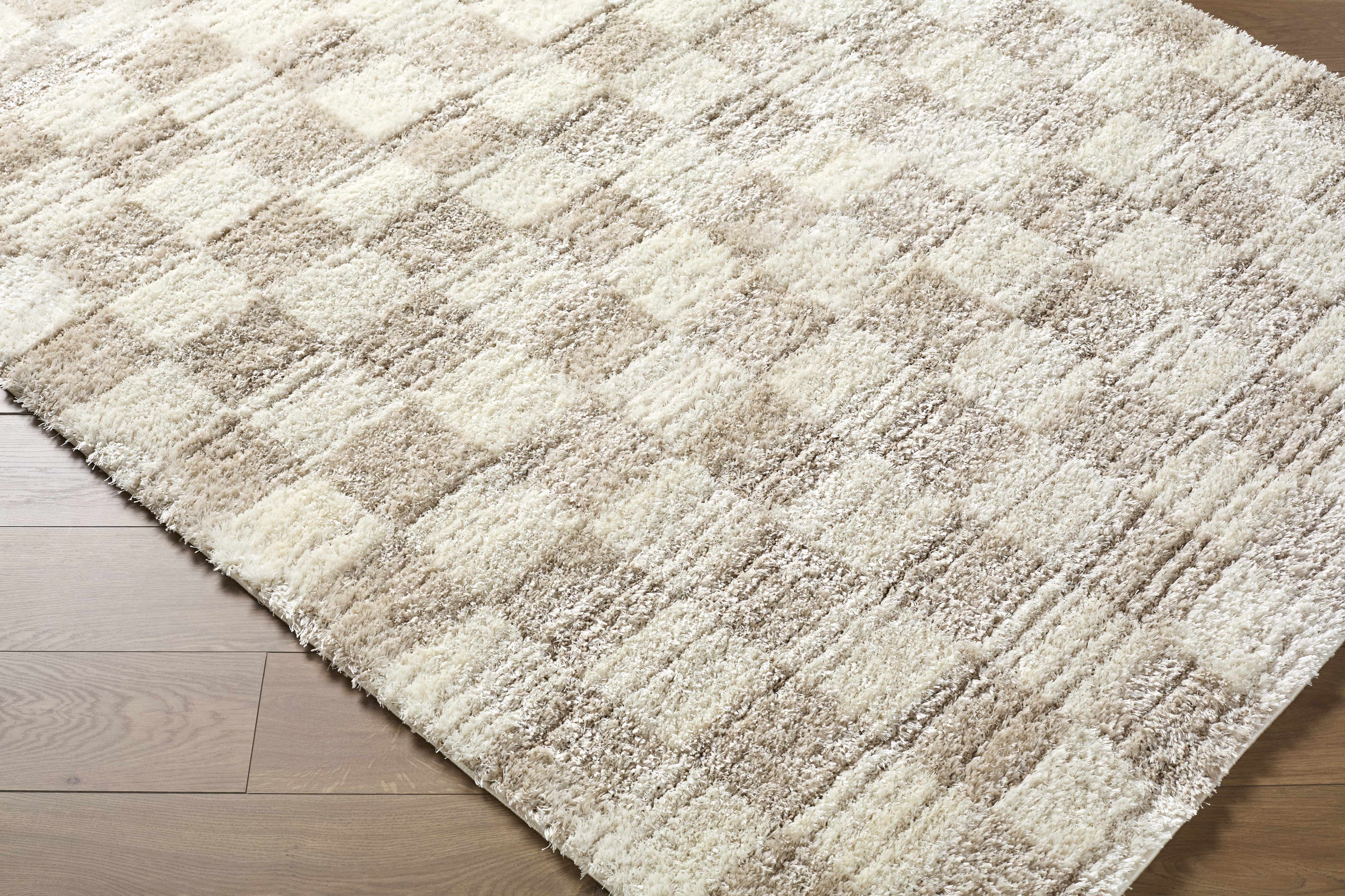 Belita Beige Luxe Shag Area Rug - Image 9