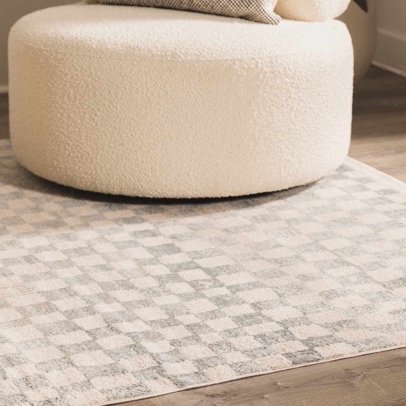 Benjy Cream & Light Blue Checkered Area Rug - Image 14