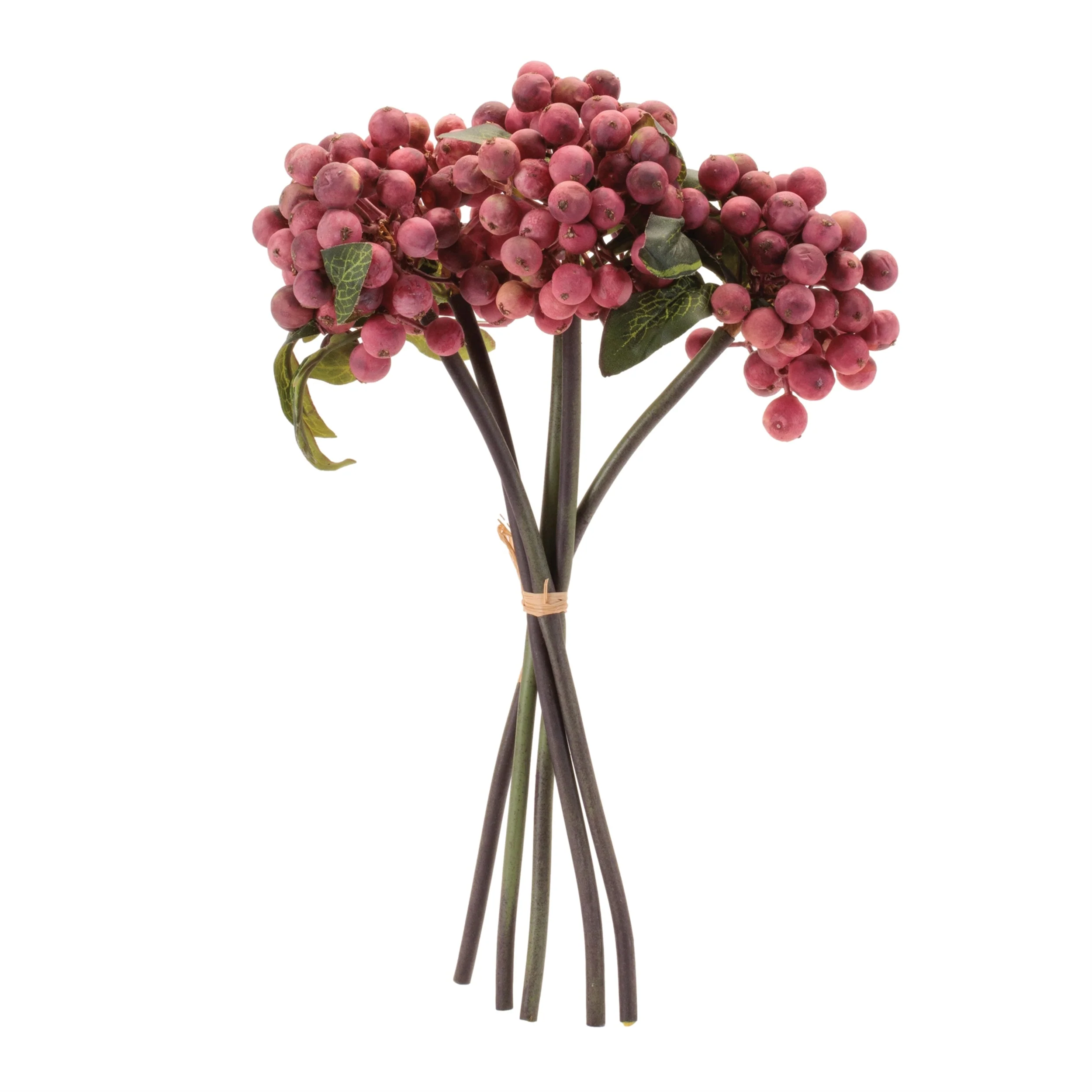 Berry Stem Bundle (Set of 4) - Image 2