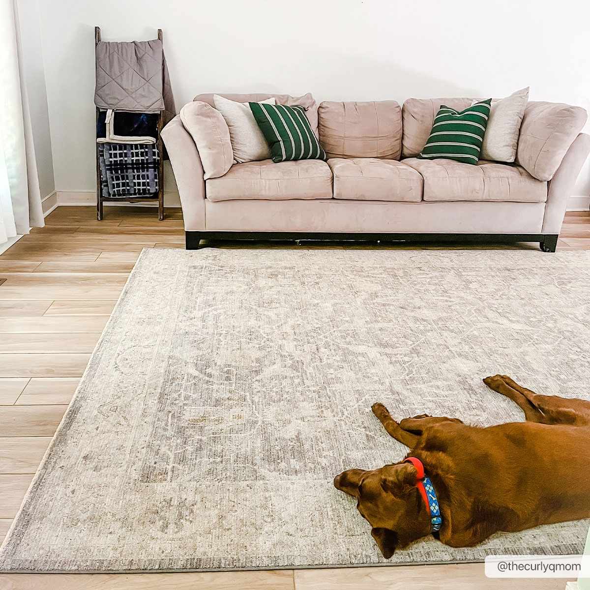 Binx Statement Rug - Image 2