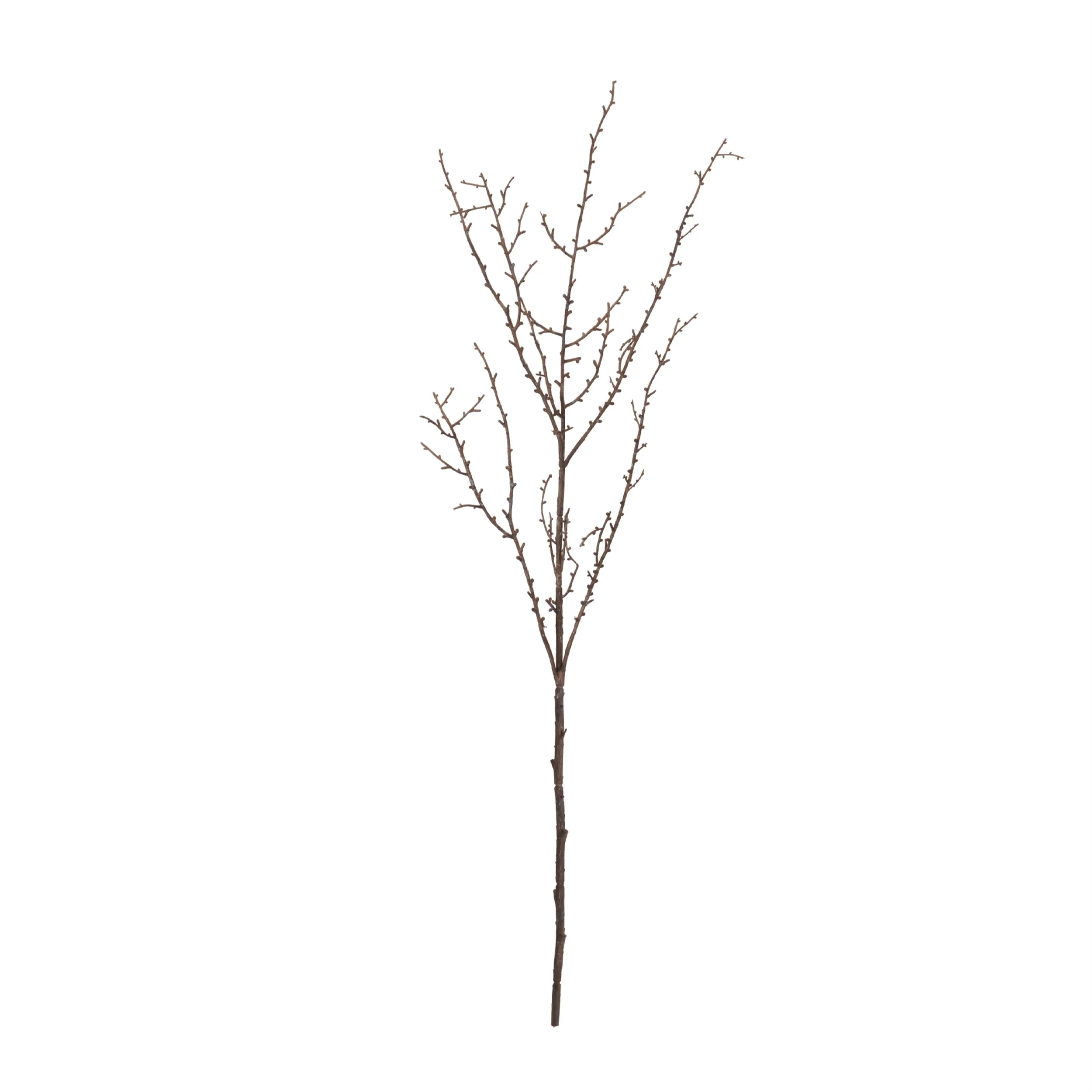 Birch Twig Branch (Set of 6) - Image 2