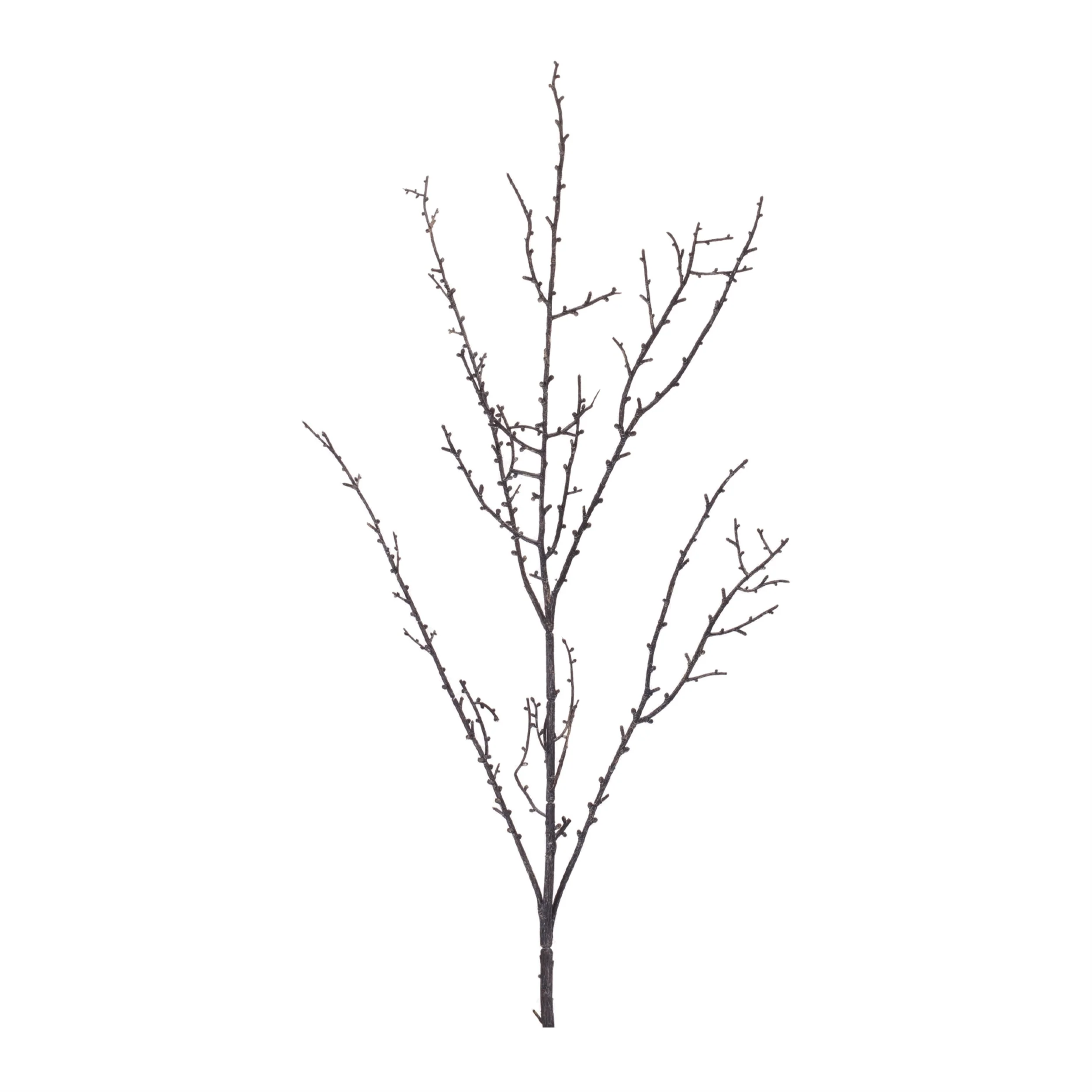 Birch Twig Branch (Set of 6) - Image 3