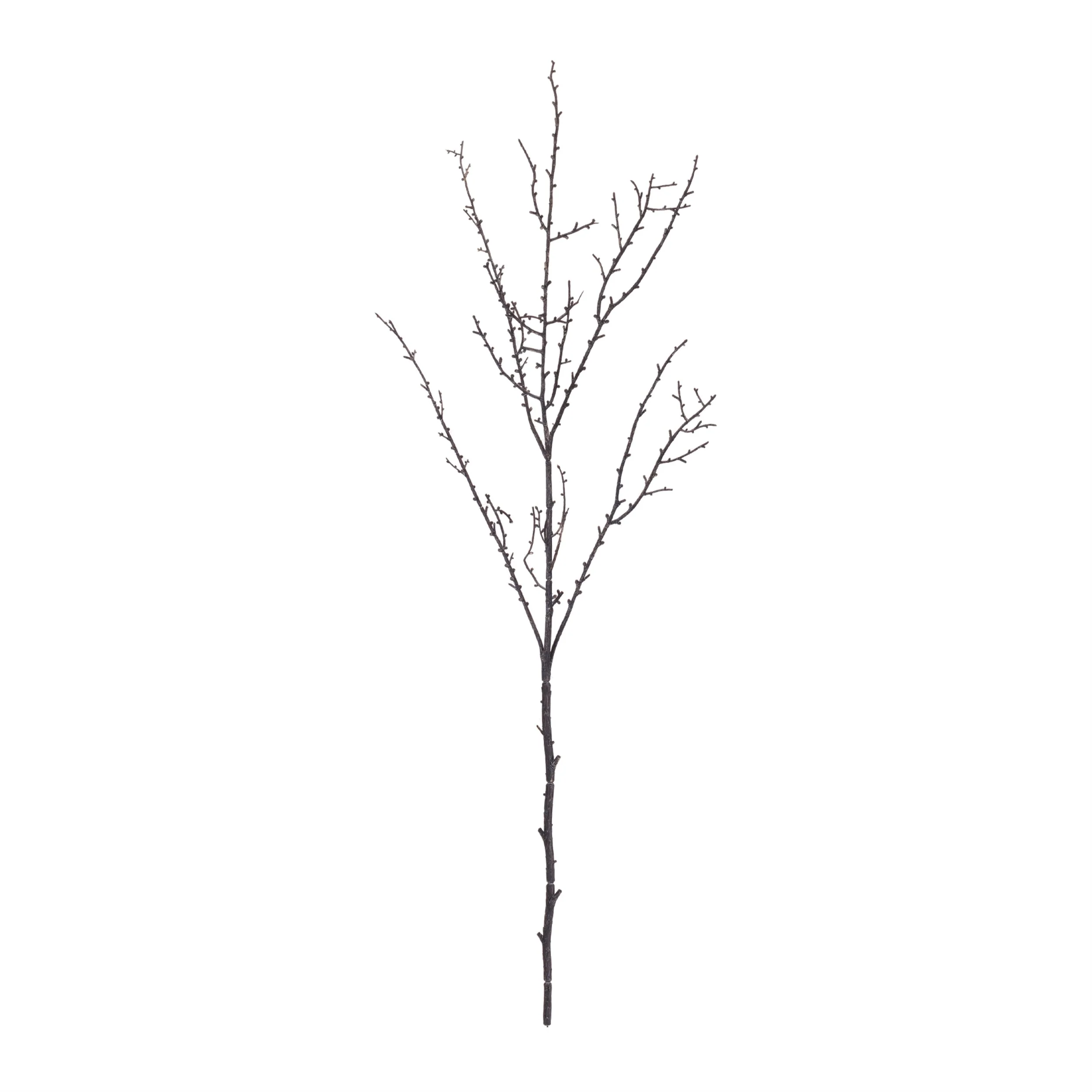 Birch Twig Branch (Set of 6) - Image 4