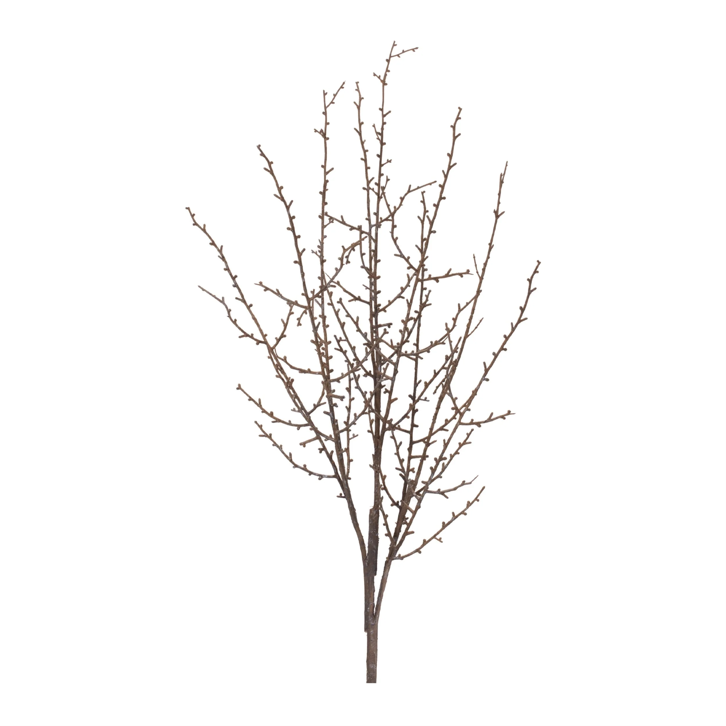 Birch Twig Branch (Set of 6) - Image 5