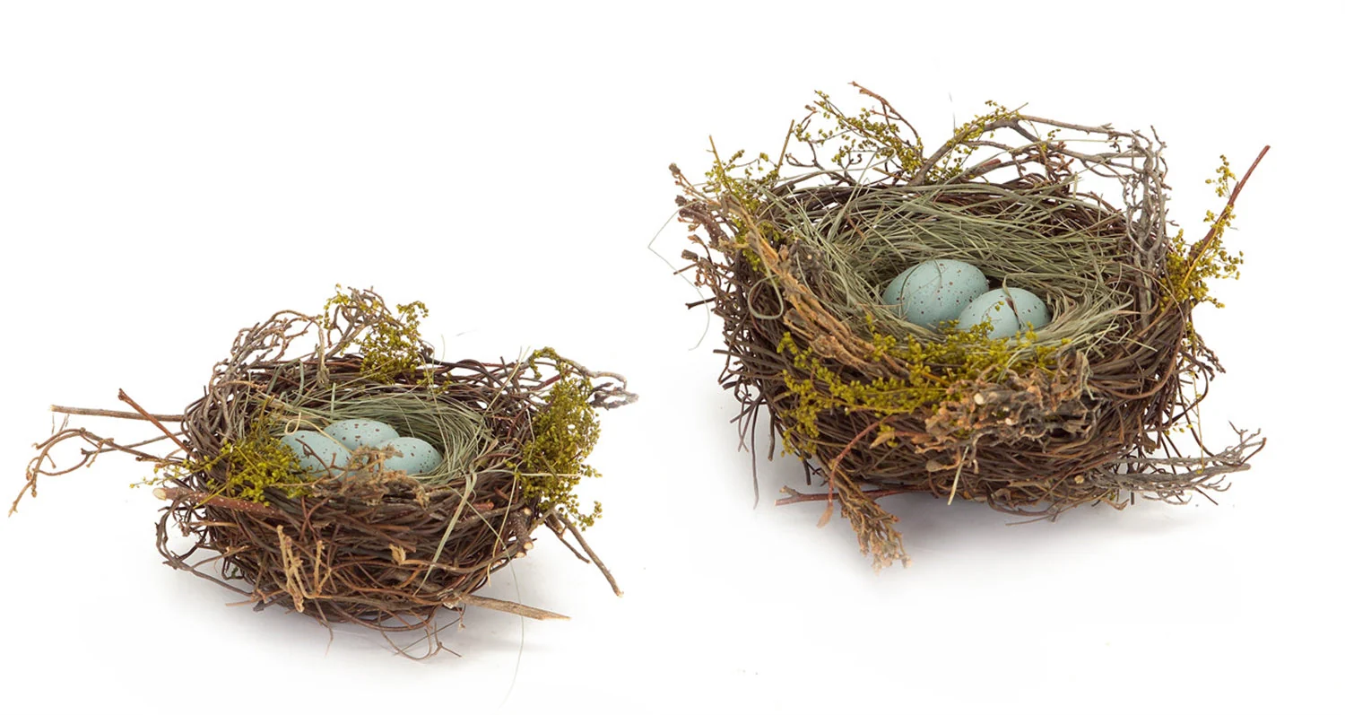 Birds Nest with Eggs (Set of 12) - Image 2
