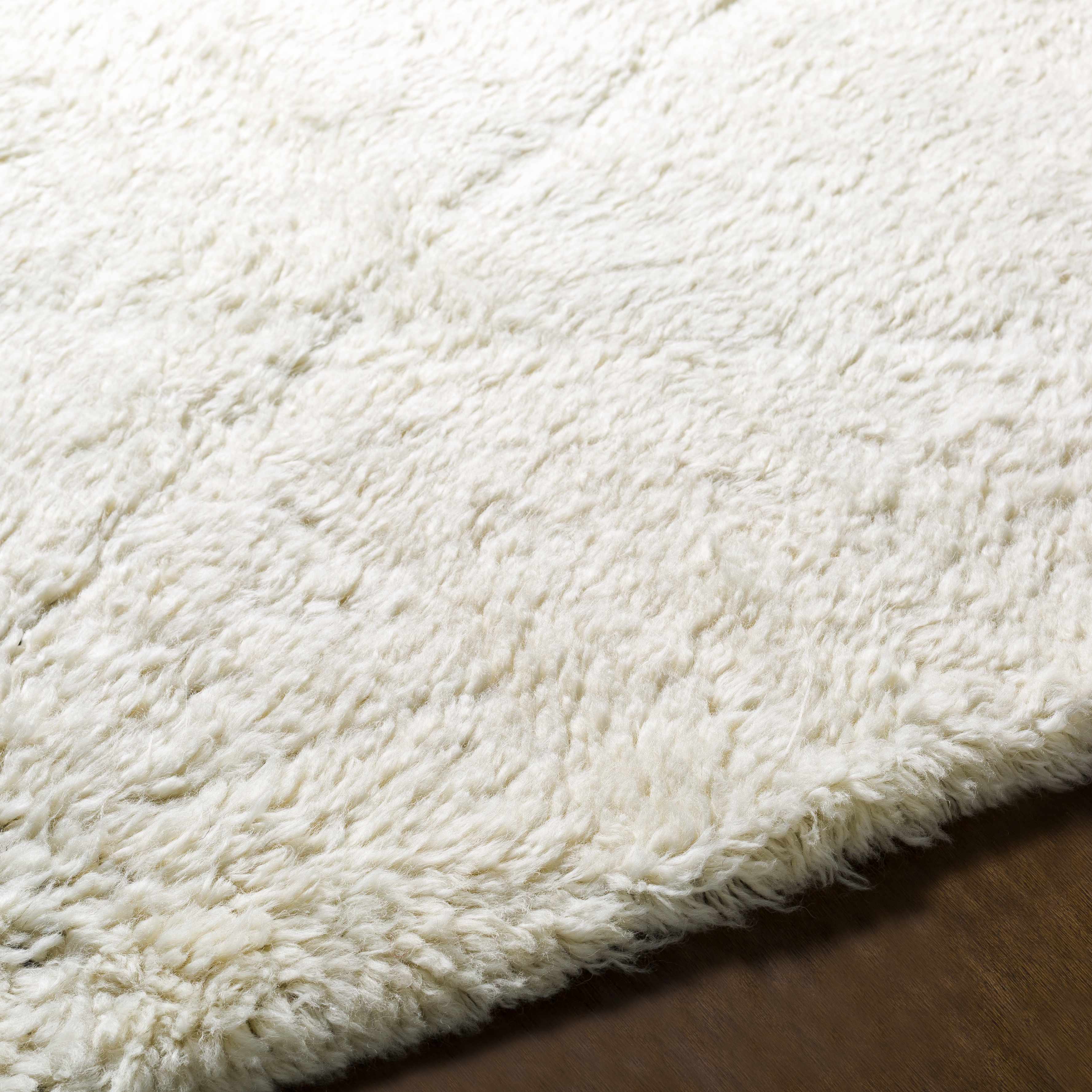 Birdwell Area Rug - Clearance - Image 5