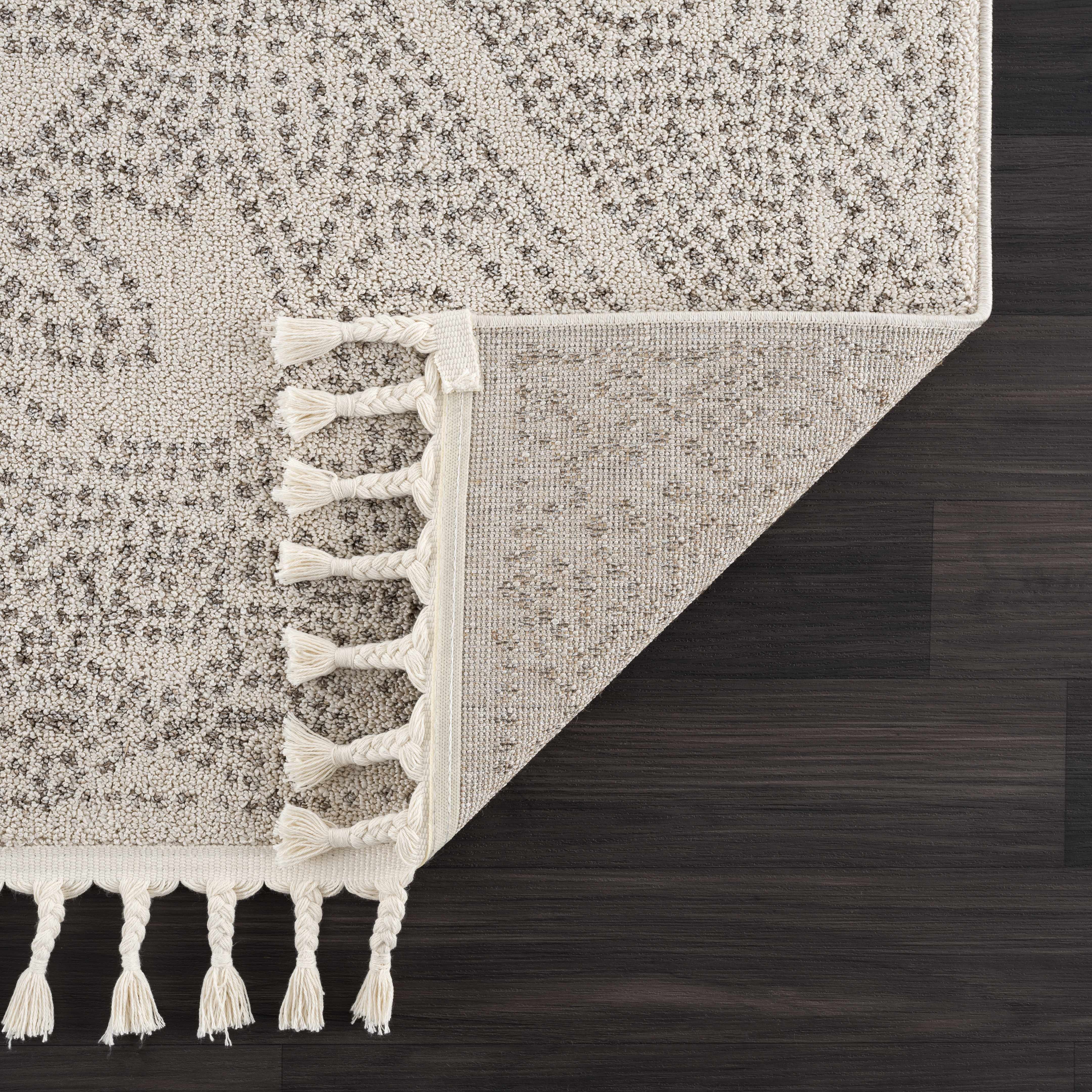 Birdwood Cream & Brown Area Rug - Image 5