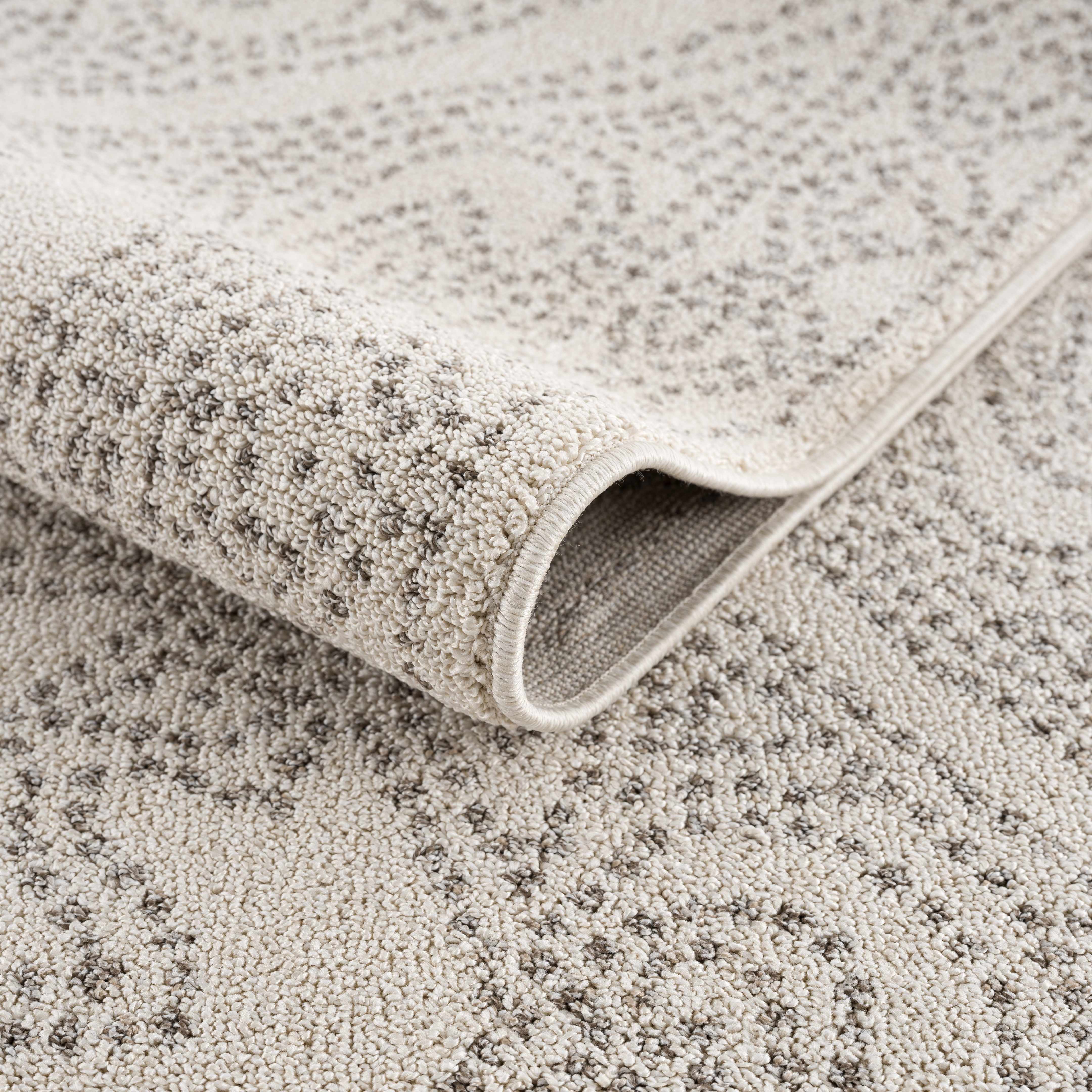 Birdwood Cream & Brown Area Rug - Image 6
