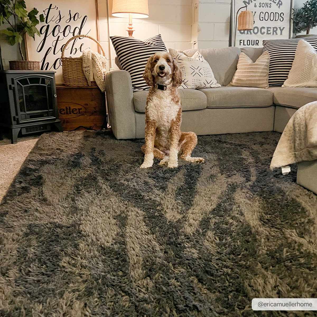 Black Allon Area Rug - Clearance - Image 2