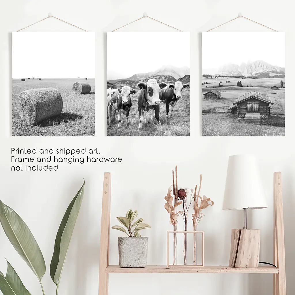 Black White Rustic Photo. Wall Art Set. Cows, Barn, Haystack - Image 10