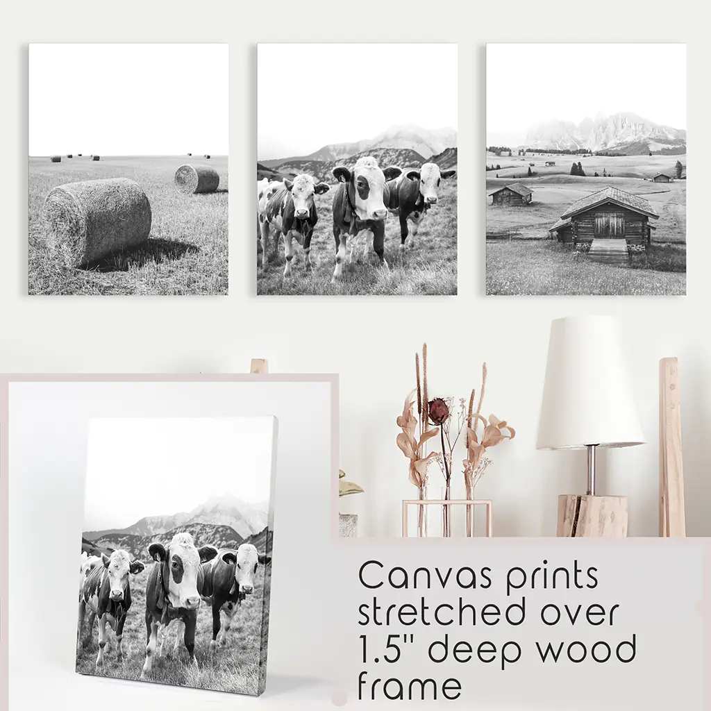 Black White Rustic Photo. Wall Art Set. Cows, Barn, Haystack - Image 9