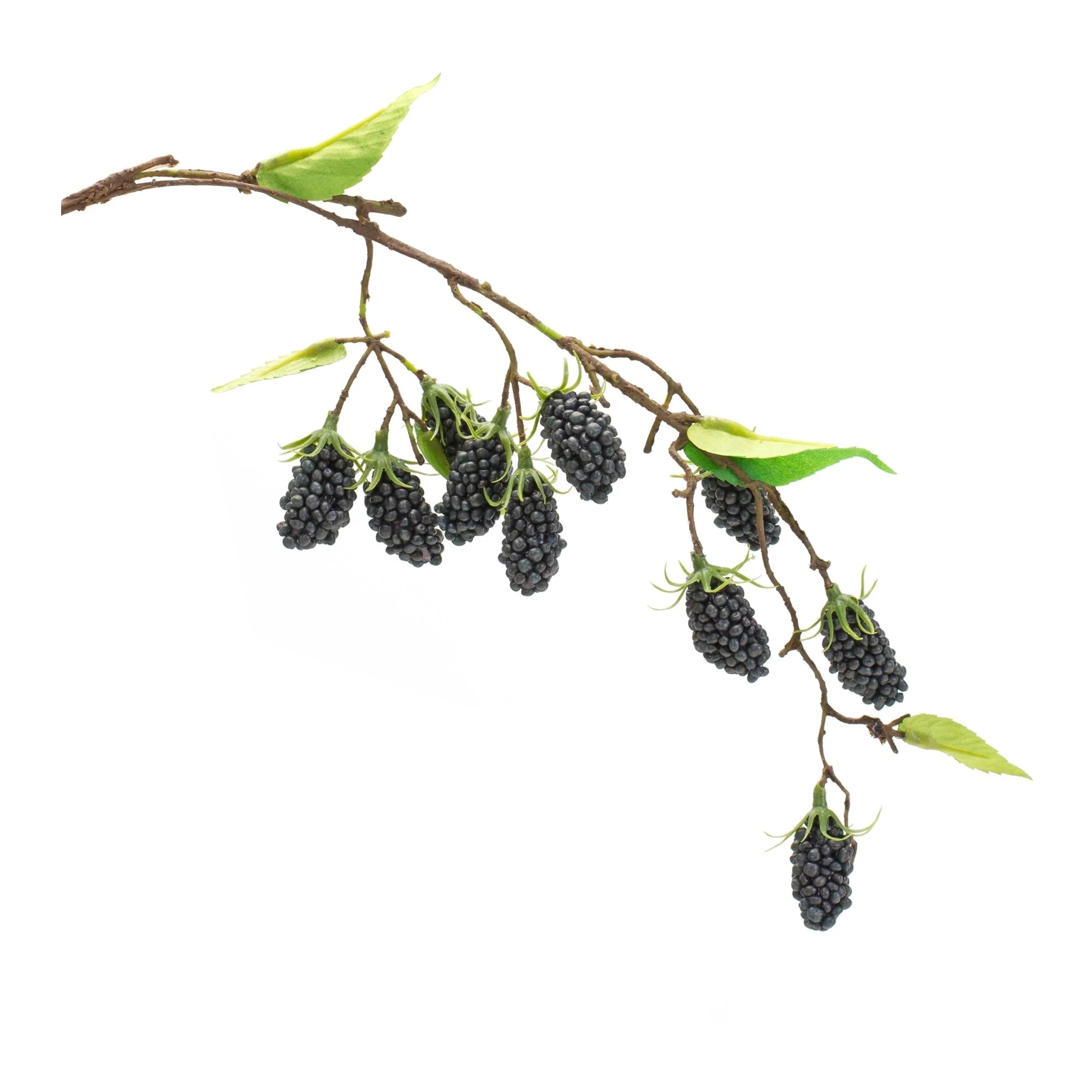 Blackberry Twig Vine (Set of 6) - Image 2