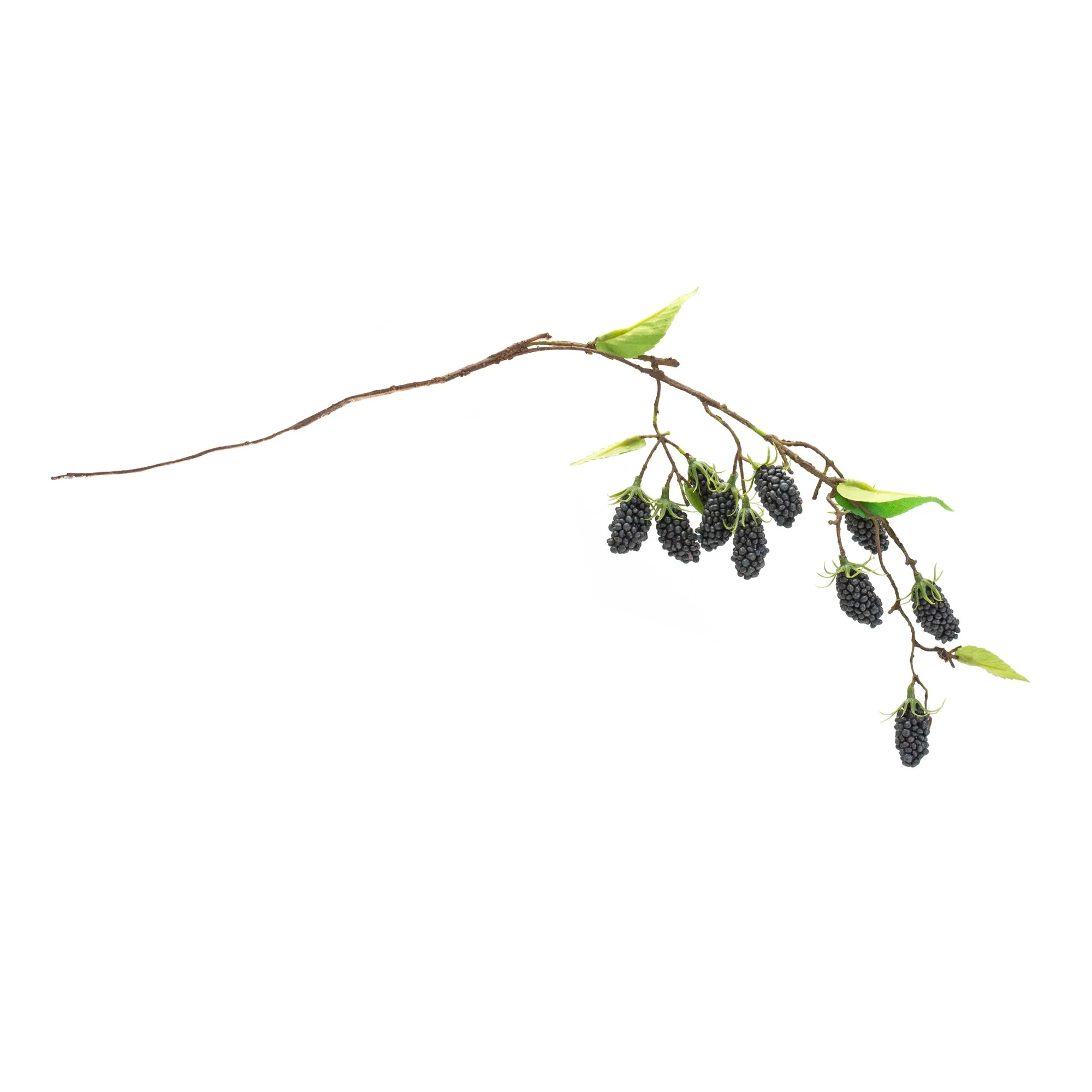 Blackberry Twig Vine (Set of 6) - Image 3