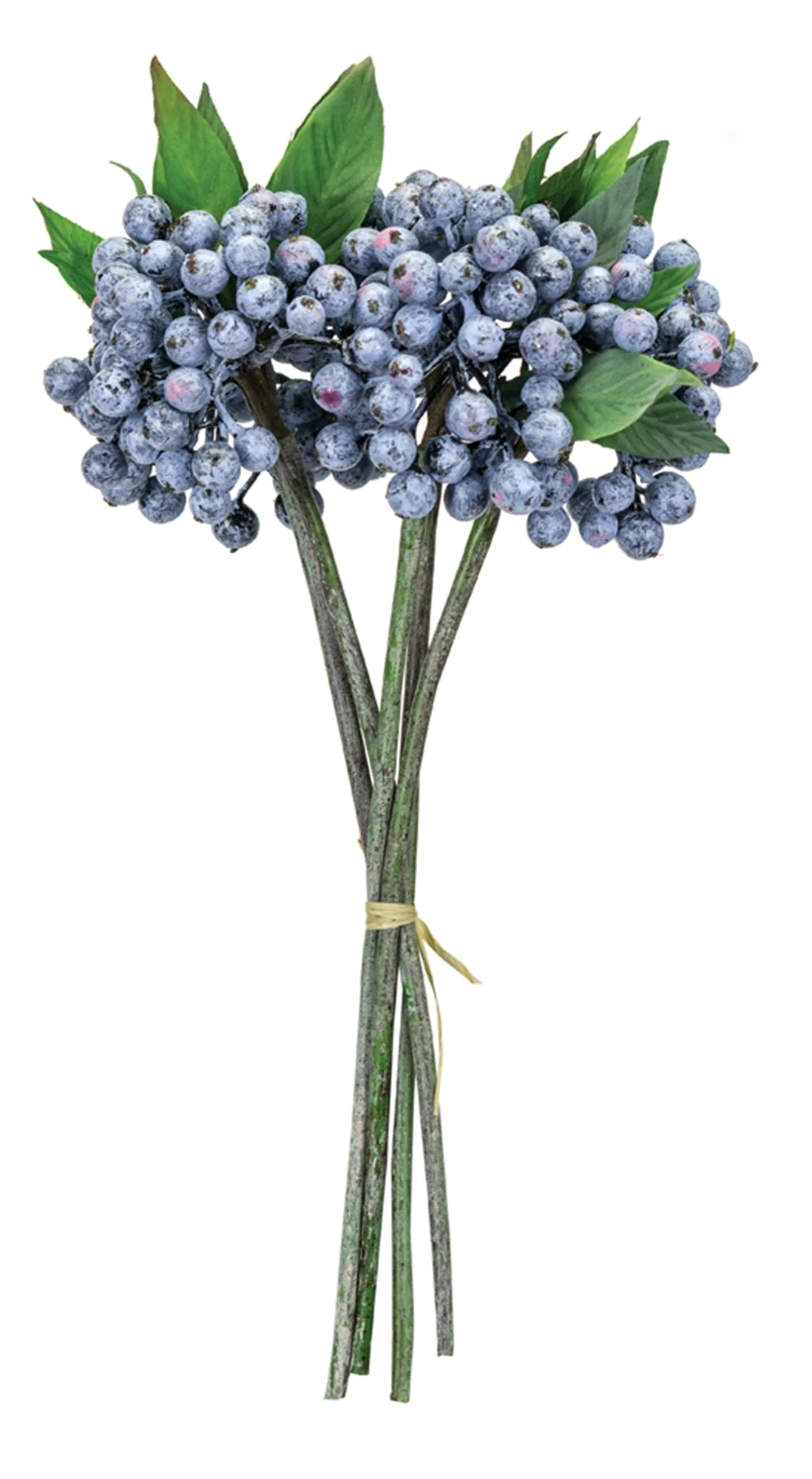 Blue Berry Foliage Bundle (Set of 12) - Image 2