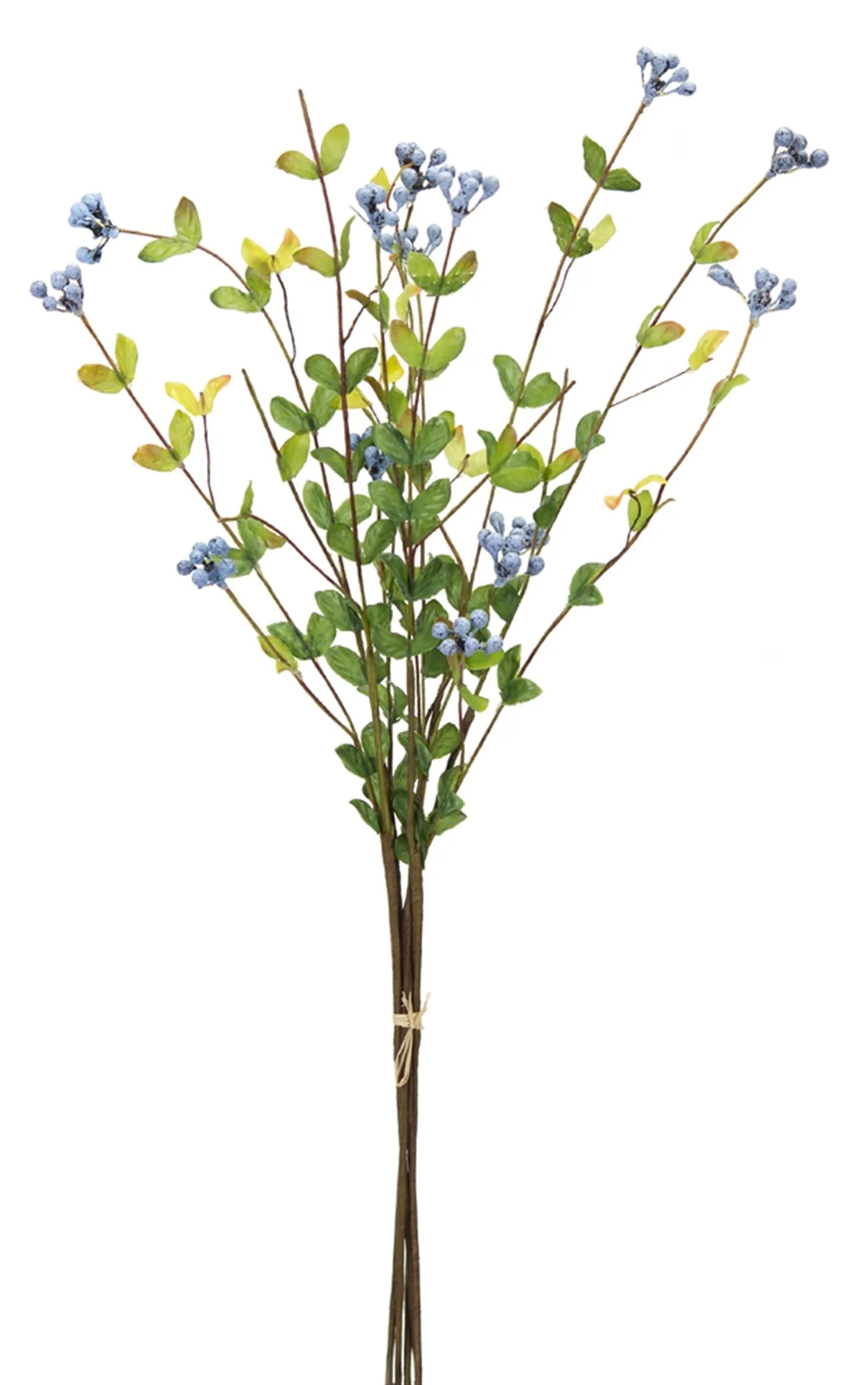 Blue Berry Foliage Spray (Set of 12) - Image 2