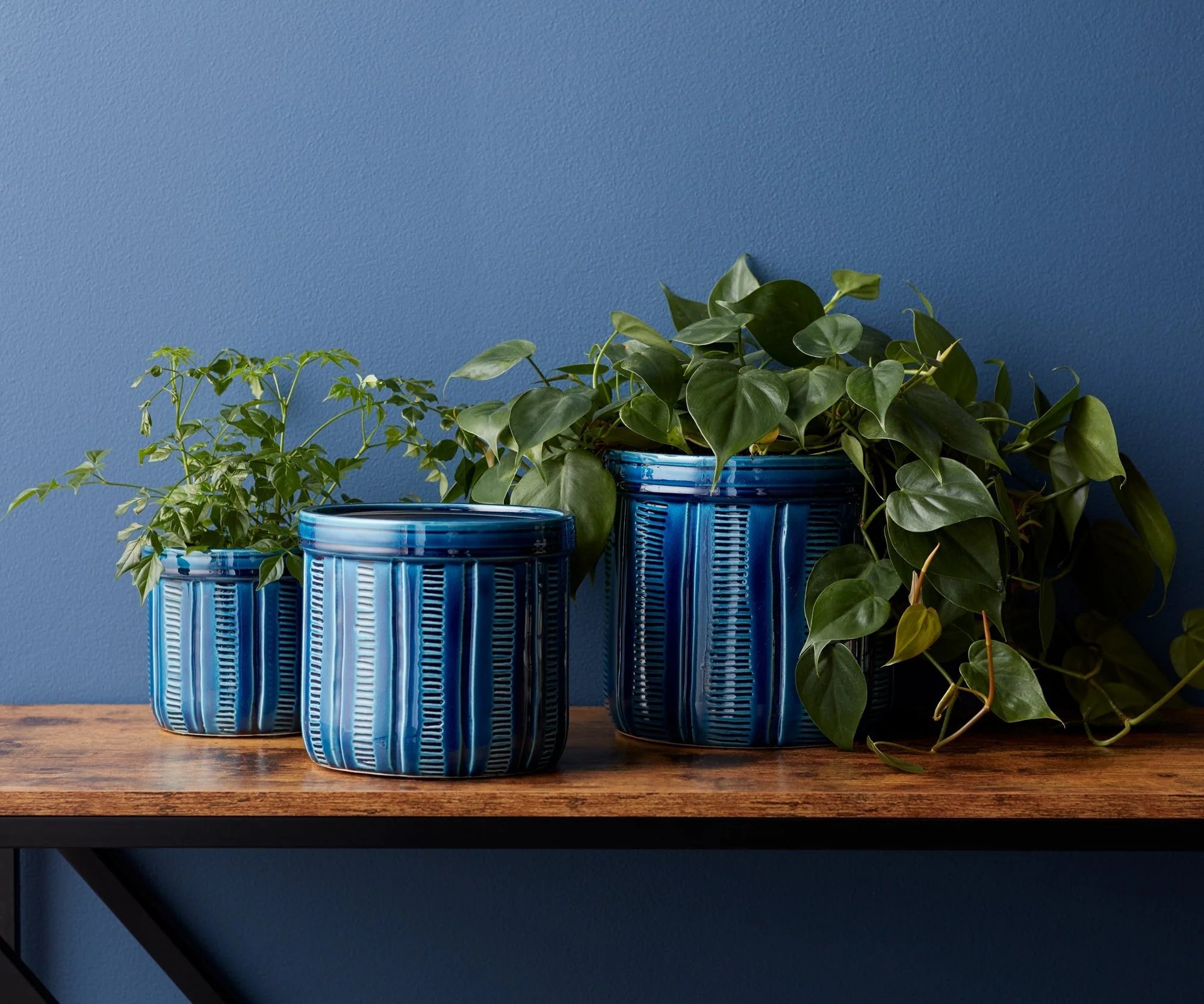 Blue Etched Terra Cotta Pot Planter (Set of 3) - Image 2