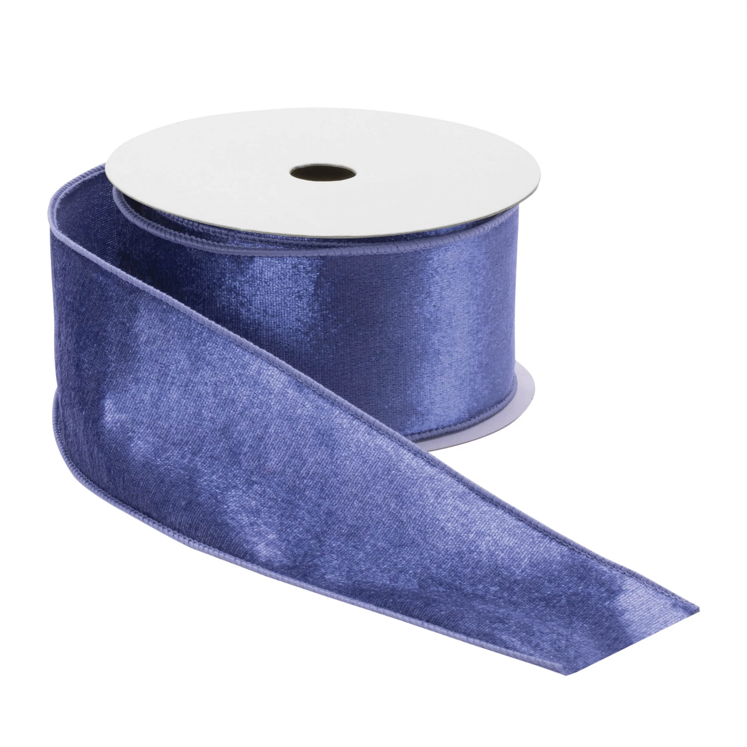 Blue Wired Ribbon (Set of 2) - Image 4