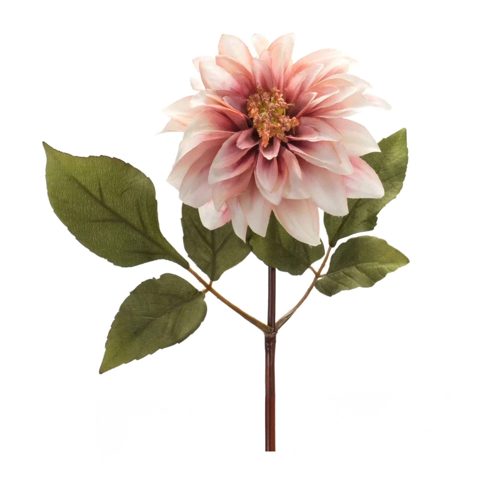 Blush Pink Dahlia Flower Stem (Set of 6) - Image 2