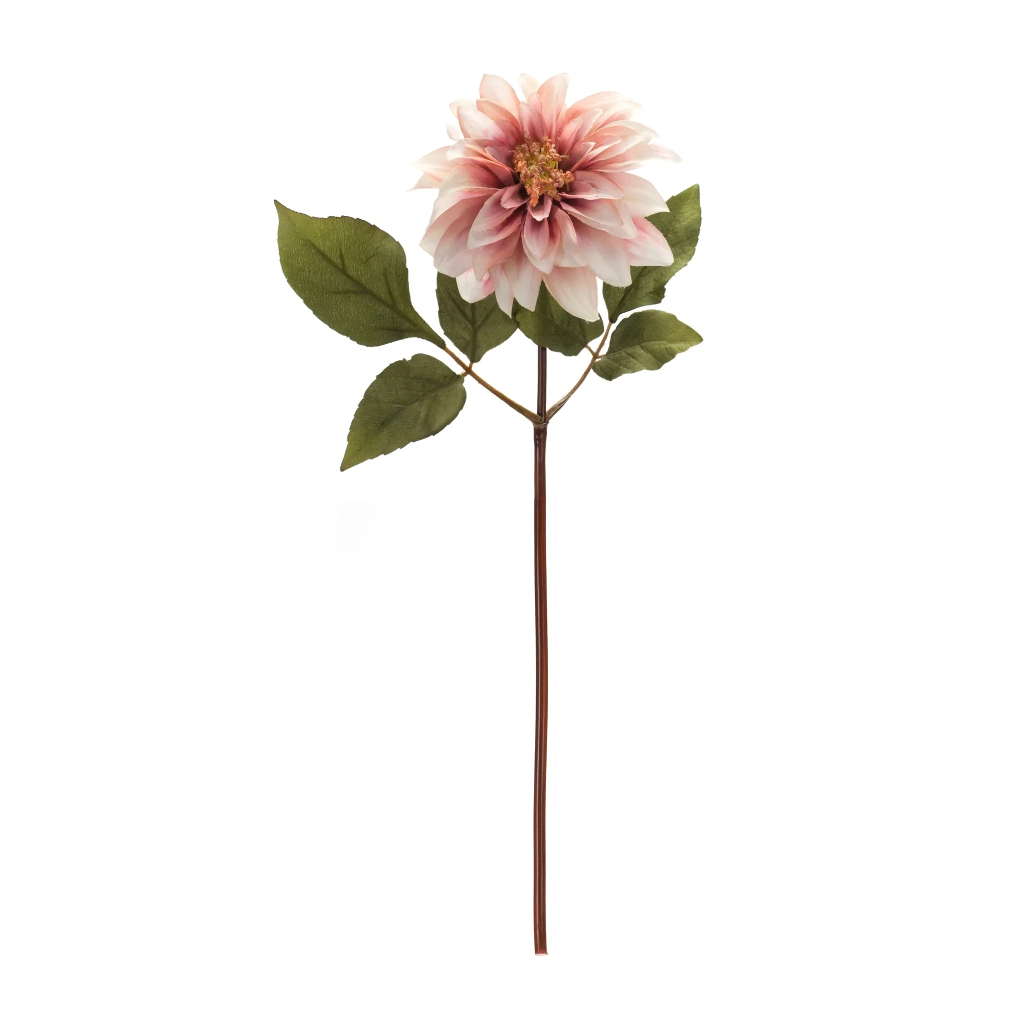 Blush Pink Dahlia Flower Stem (Set of 6) - Image 3