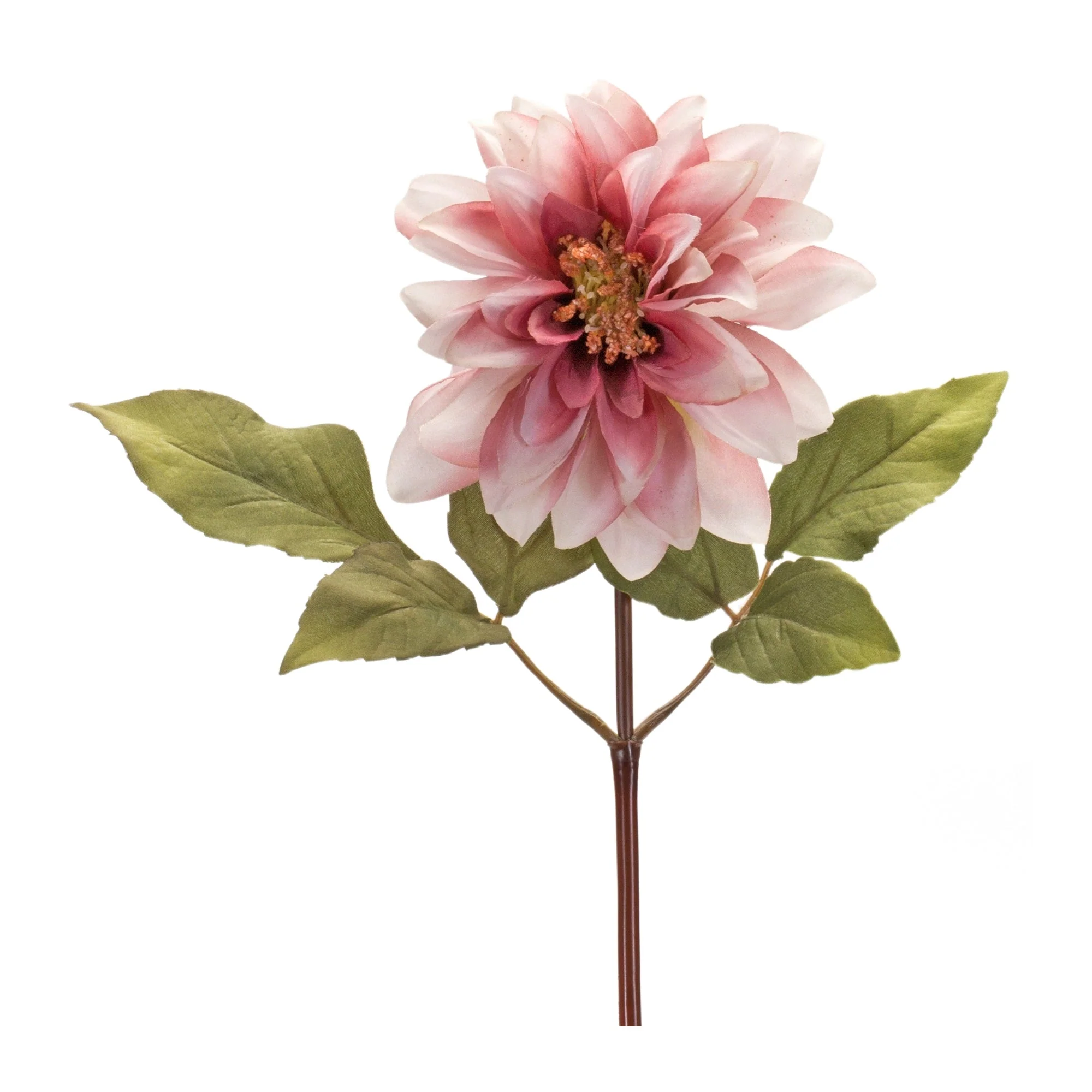 Blush Pink Dahlia Flower Stem (Set of 6) - Image 4