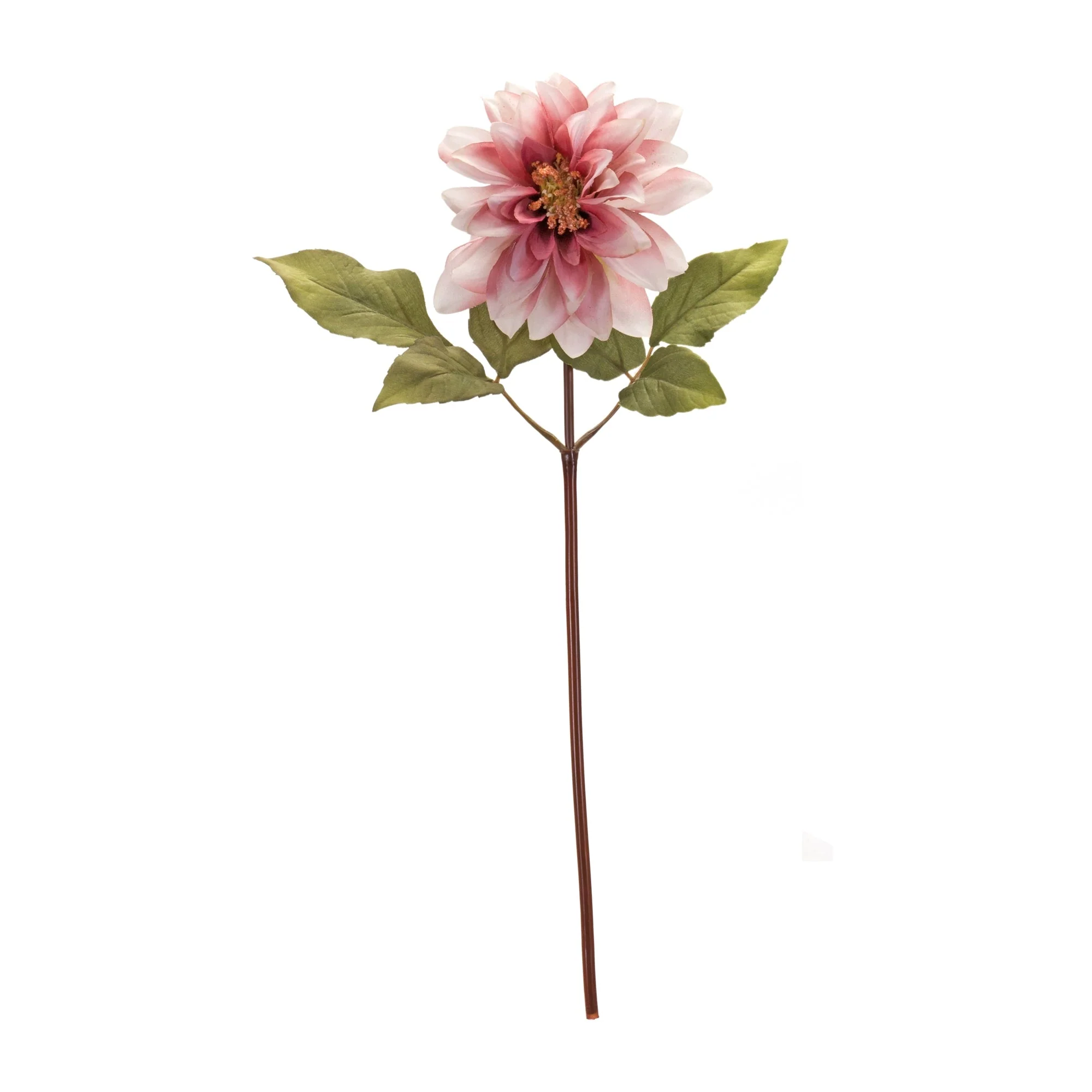 Blush Pink Dahlia Flower Stem (Set of 6) - Image 5