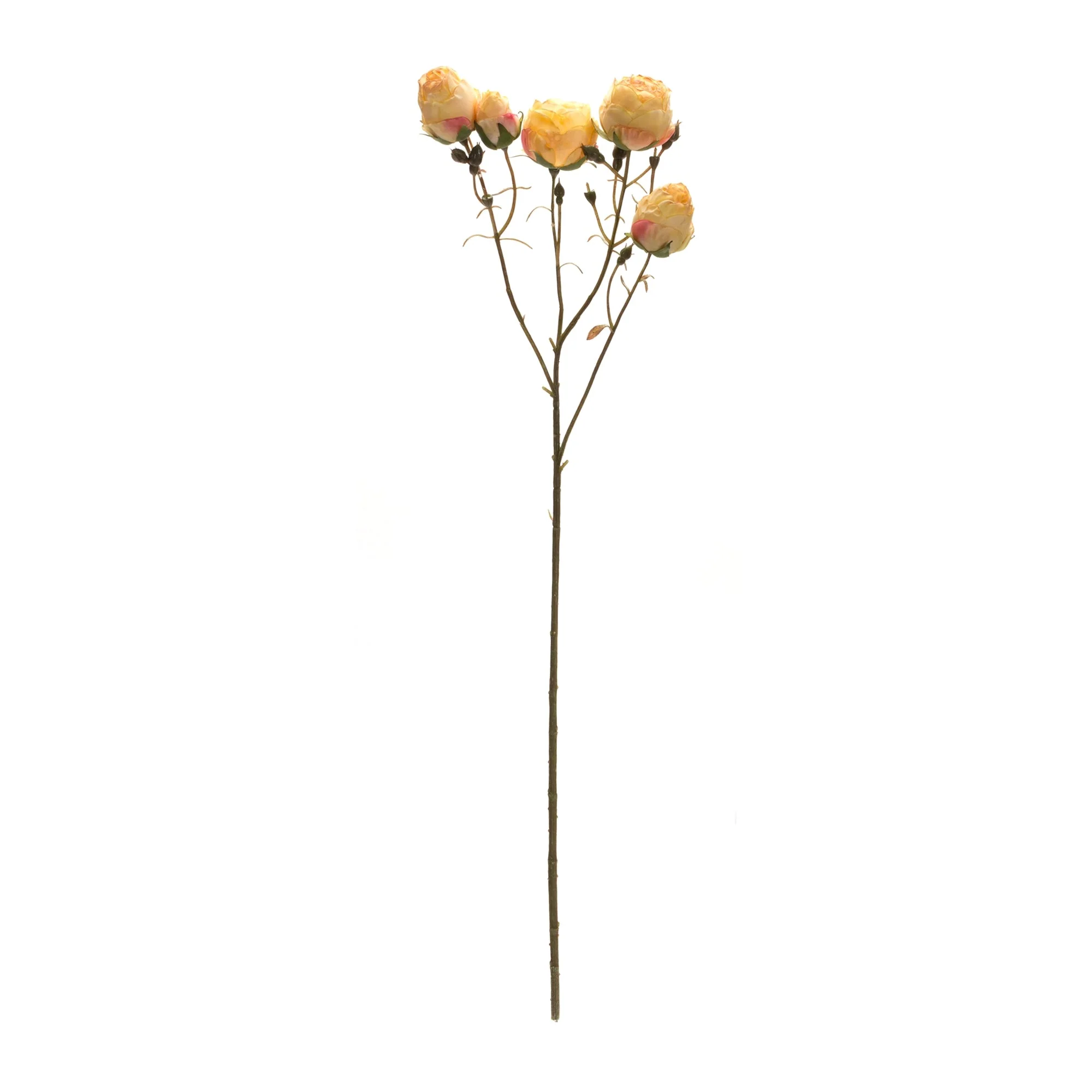 Blush yellow rose bud spray (set of 6) - Image 3