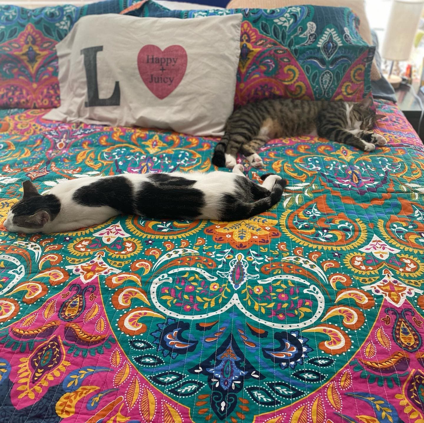 Boho Chic Quilt 3 Piece Set - Image 7