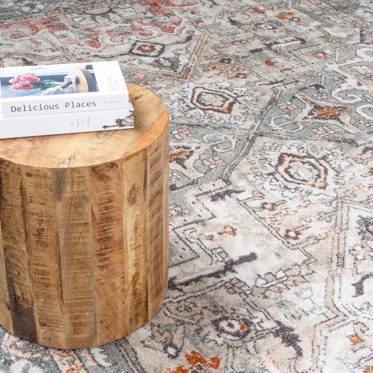 Bolinas Area Rug - Image 13