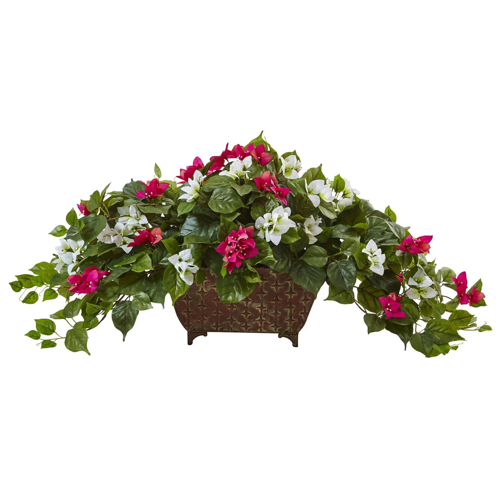 Bougainvillea in Metal Planter - Image 2