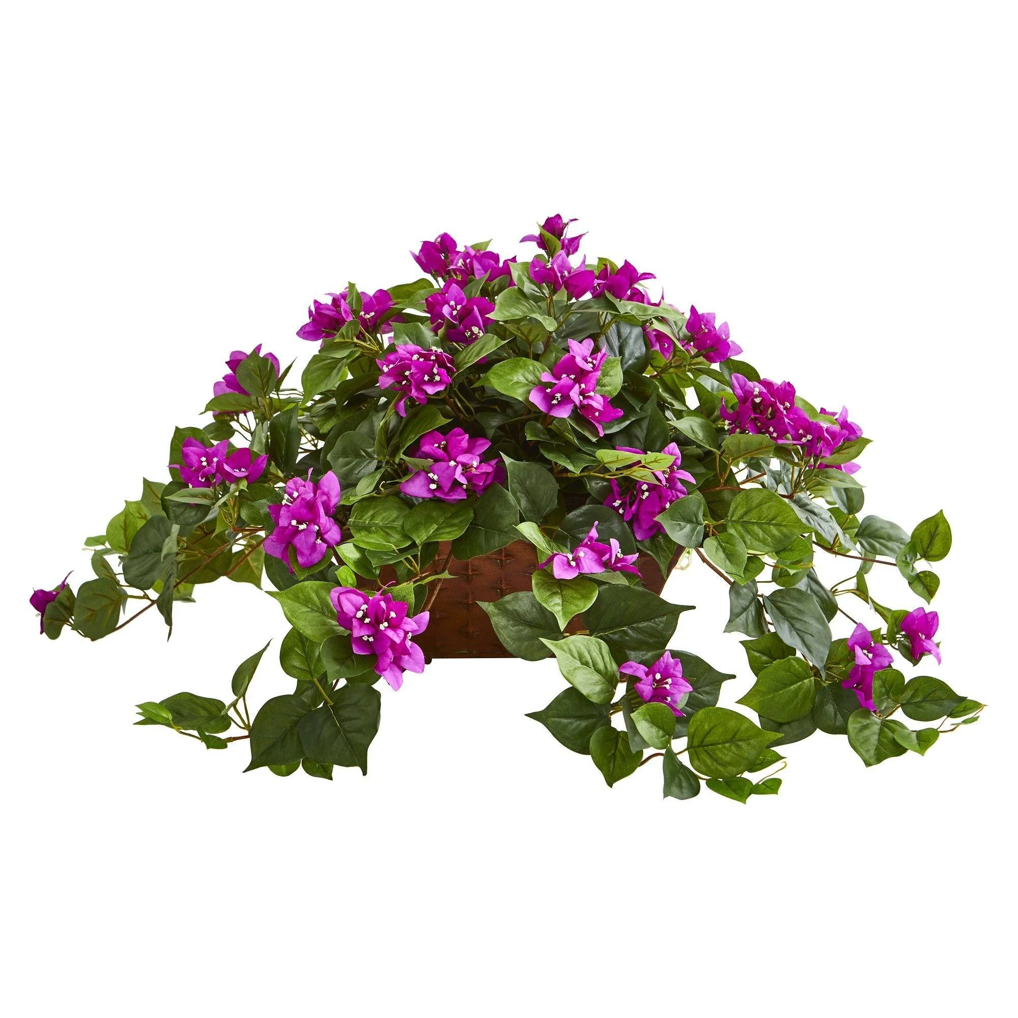 Bougainvillea in Metal Planter - Image 4