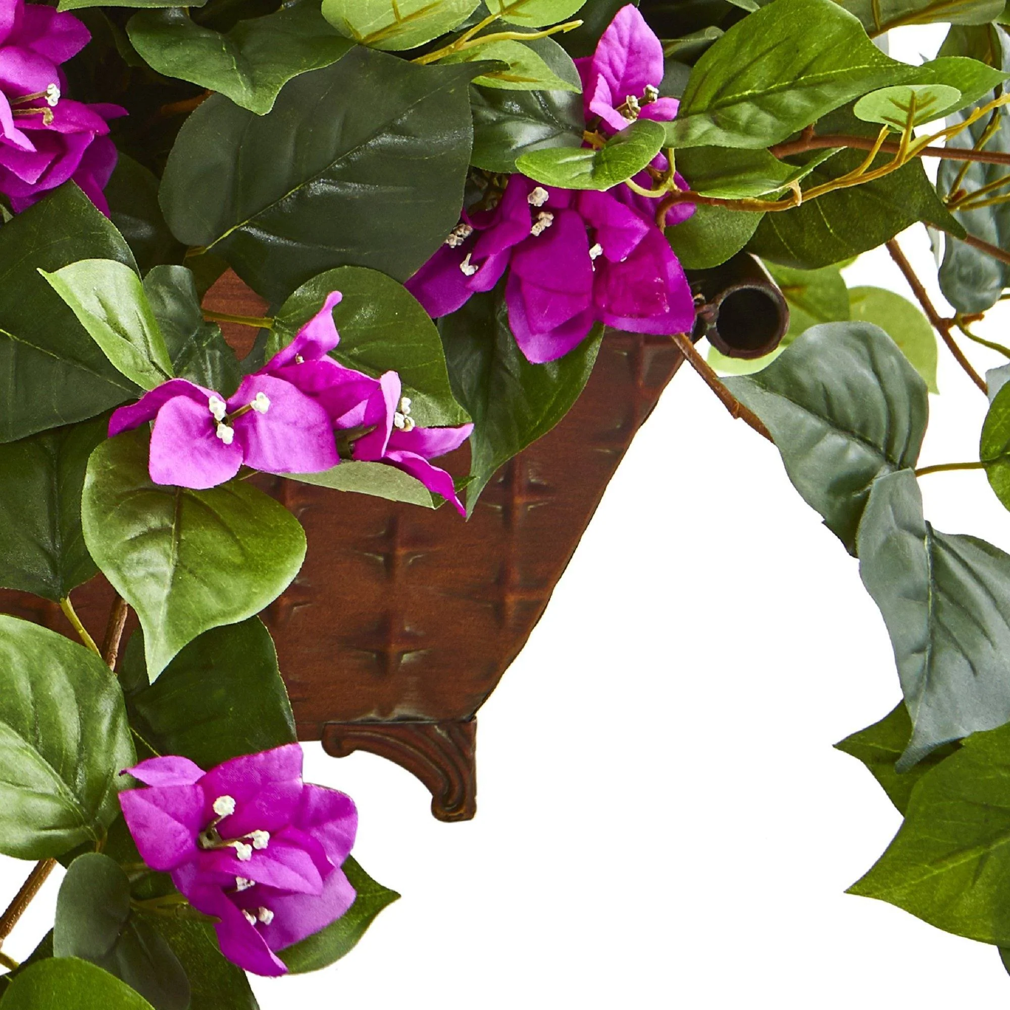 Bougainvillea in Metal Planter - Image 5