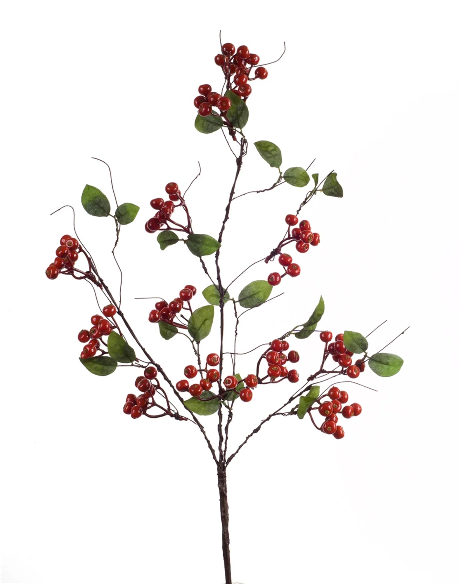 Boxwood Berry Twig Spray (Set of 12) - Image 2