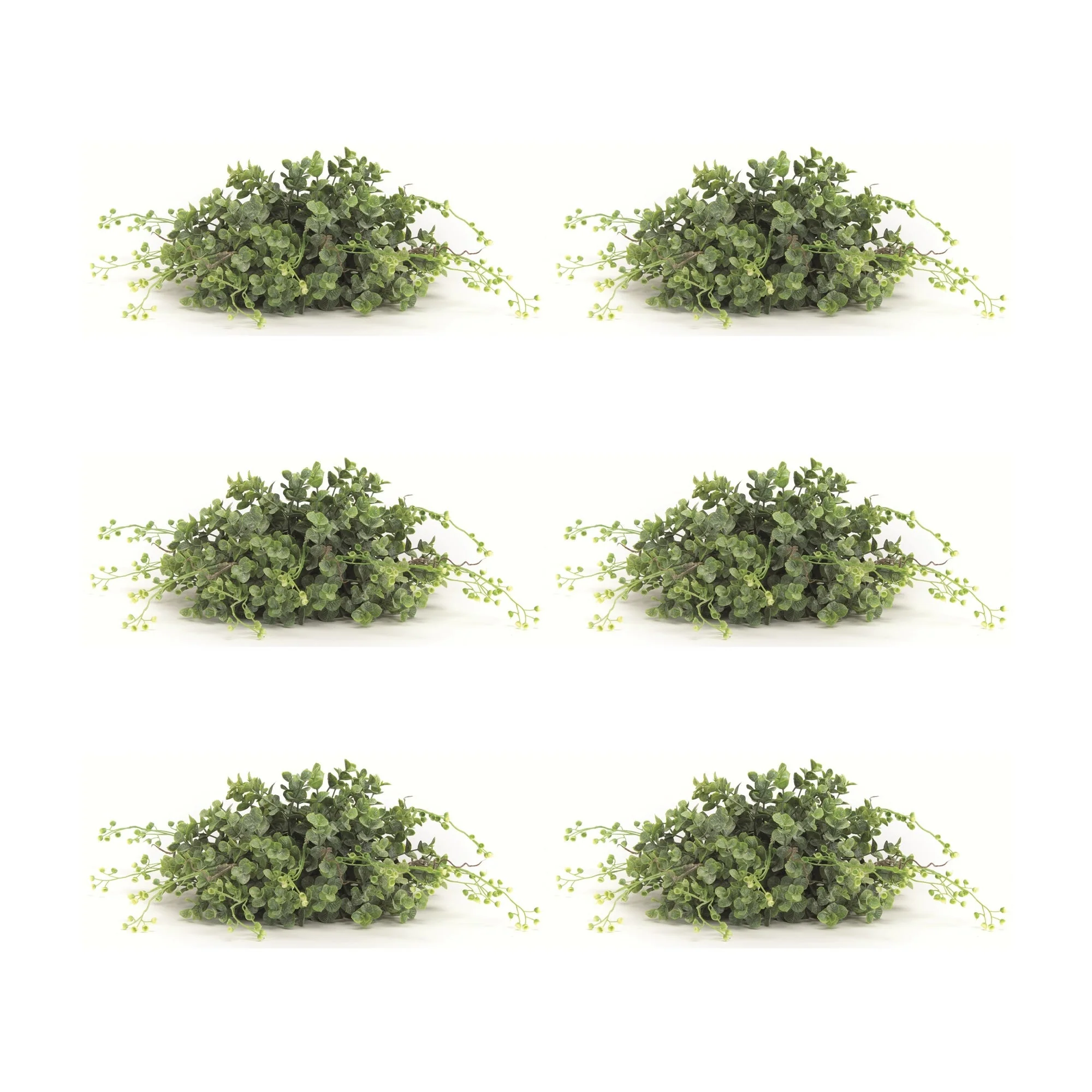 Spring Boxwood Foliage Half Orb (Set of 6)