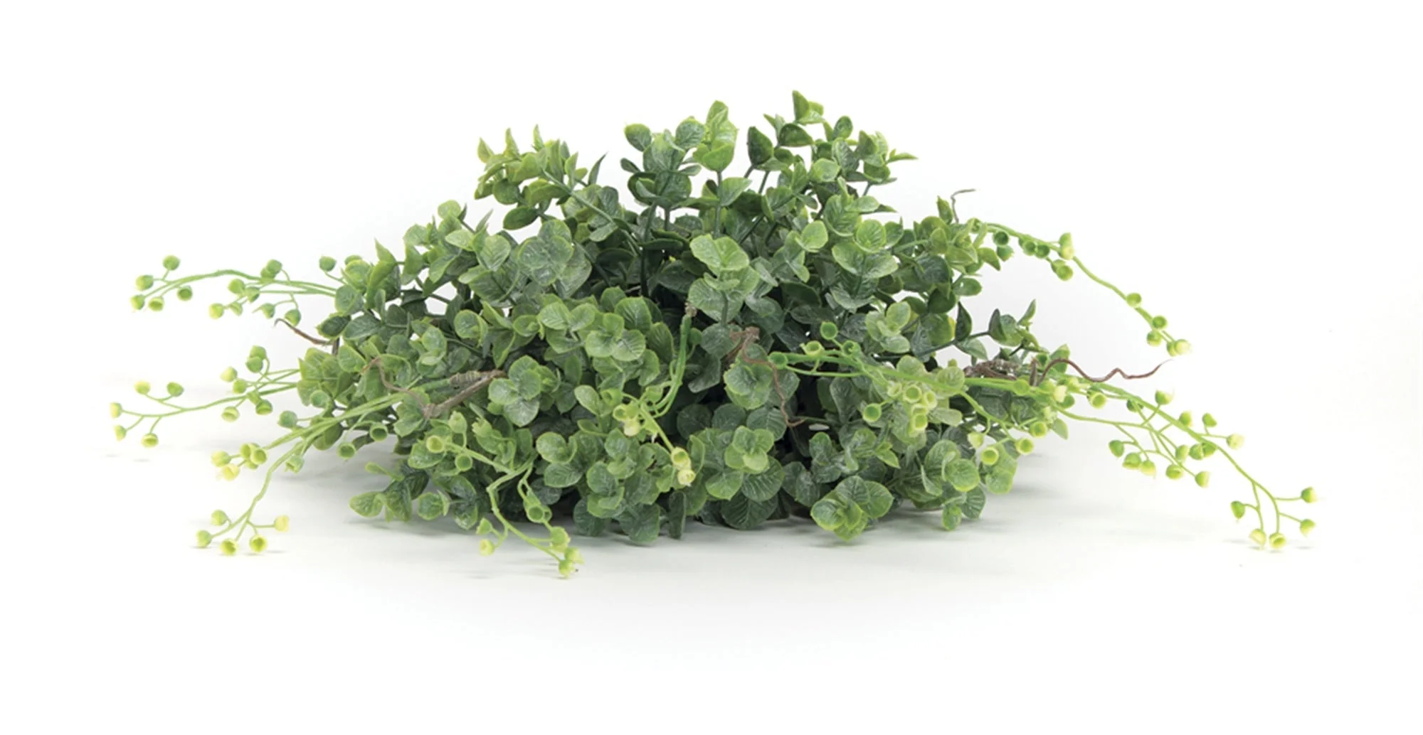 Spring Boxwood Foliage Half Orb (Set of 6) - Image 2