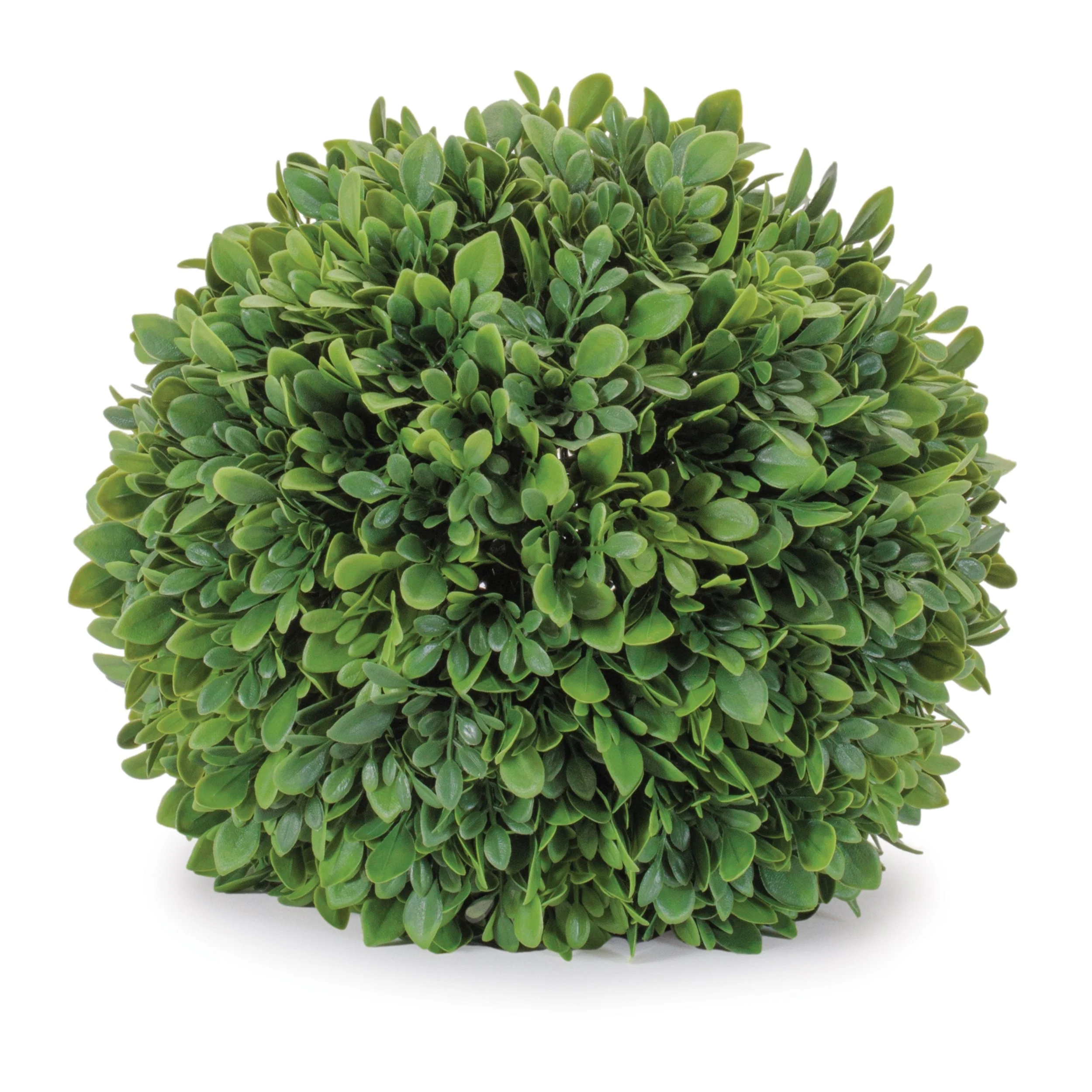 Boxwood Foliage Orb Set of 2 - Image 4