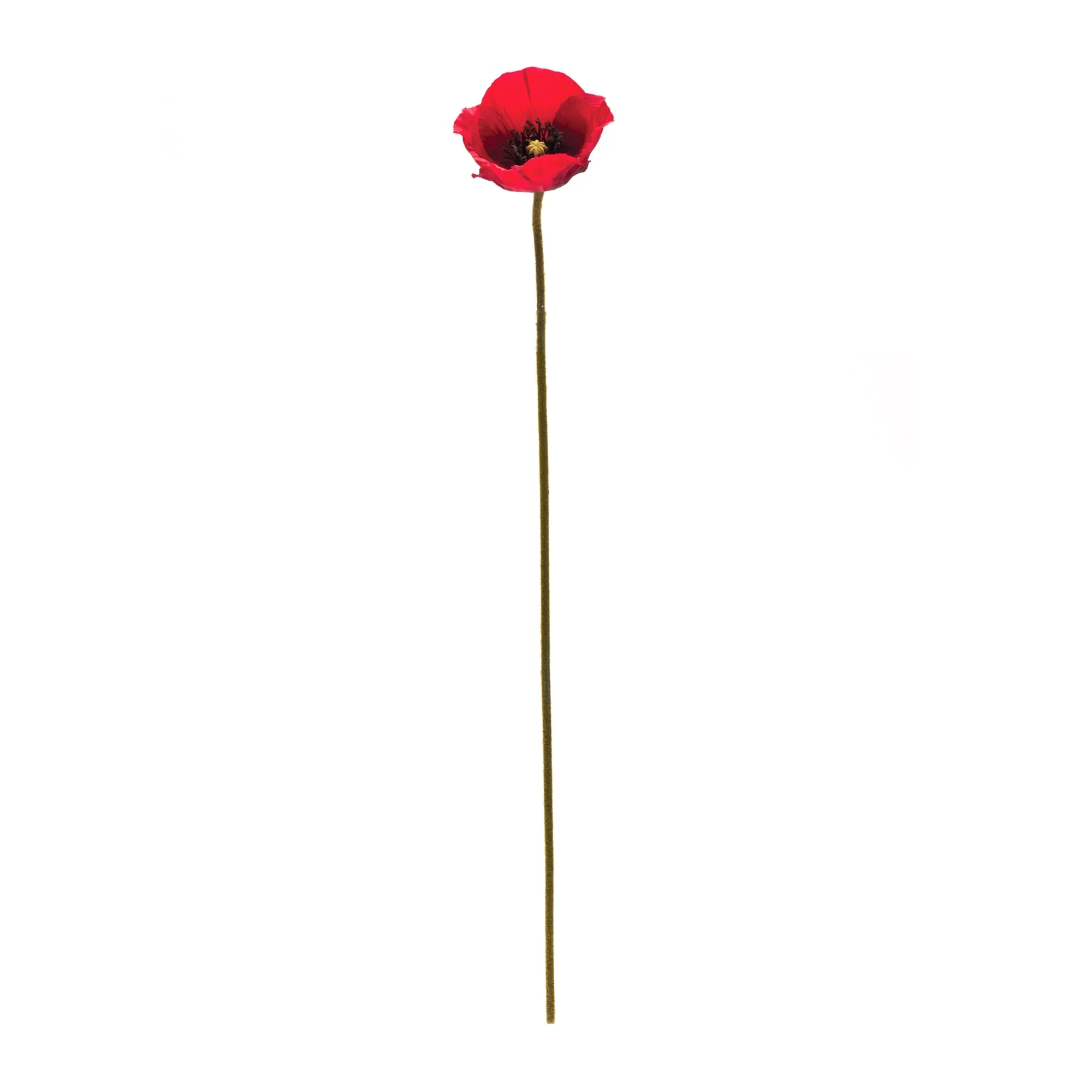 Bright Red Poppy Flower Stem (Set of 6) - Image 3
