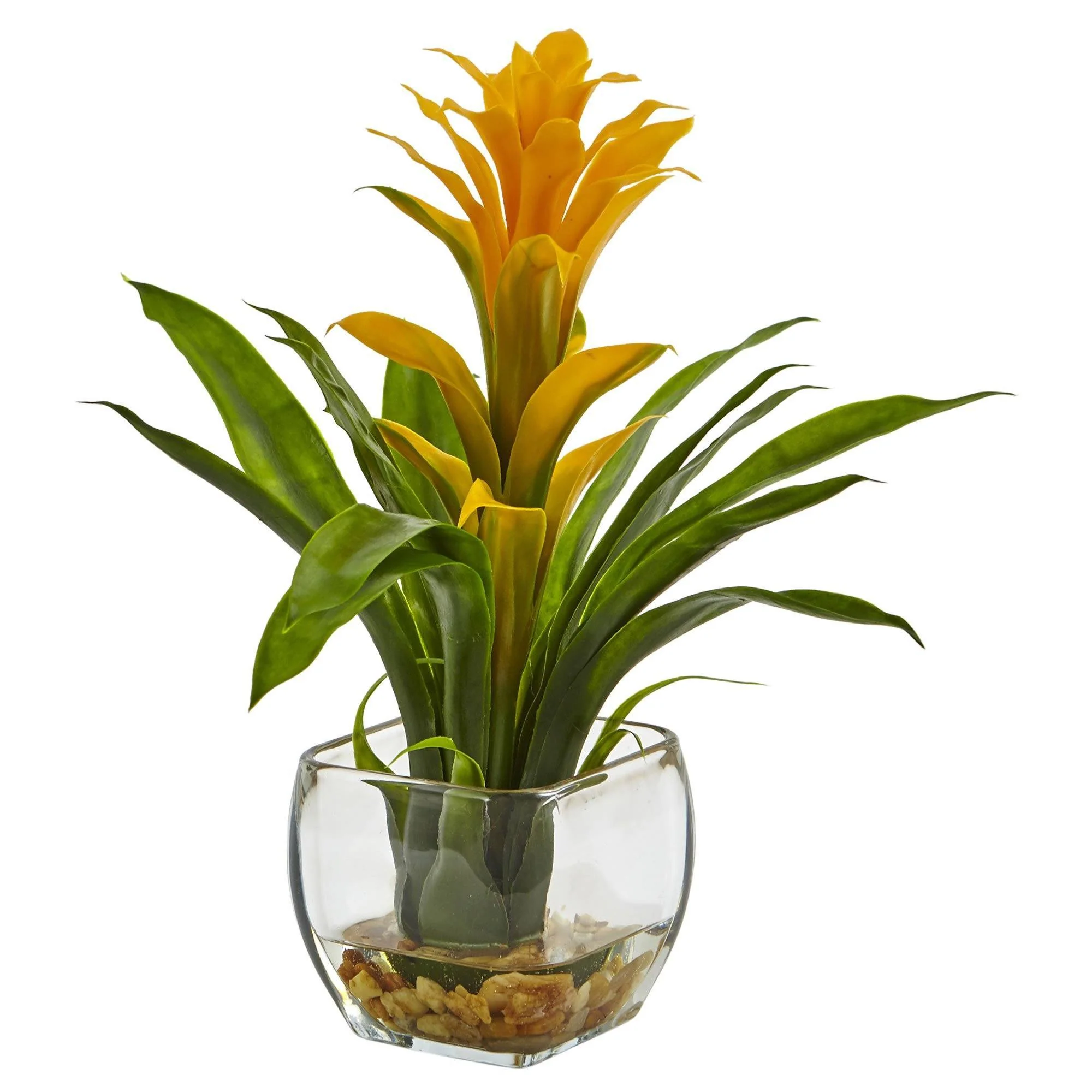 Bromeliad with Vase Arrangement - Image 2