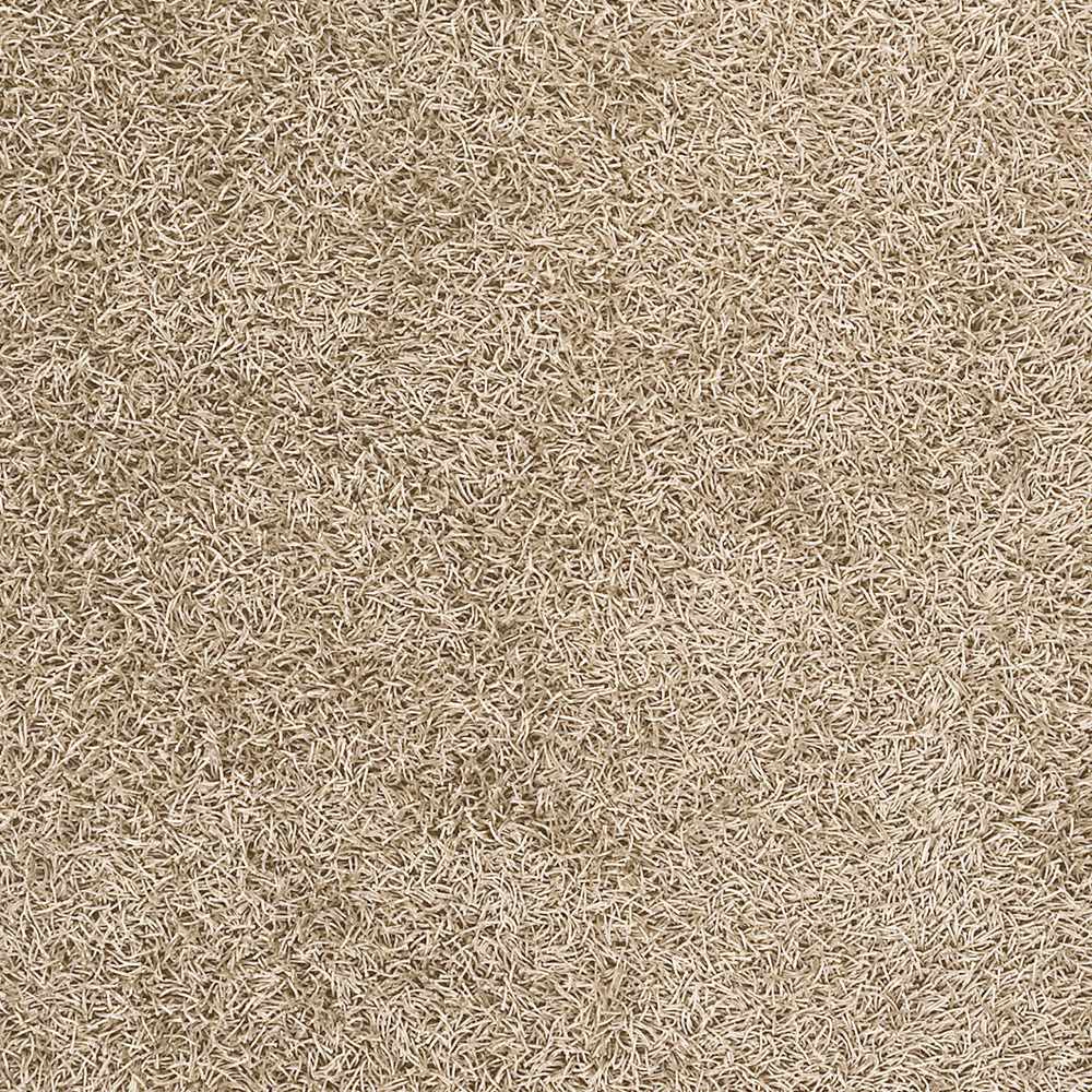 Browder Solid Beige Shag Area Rug - Clearance - Image 5