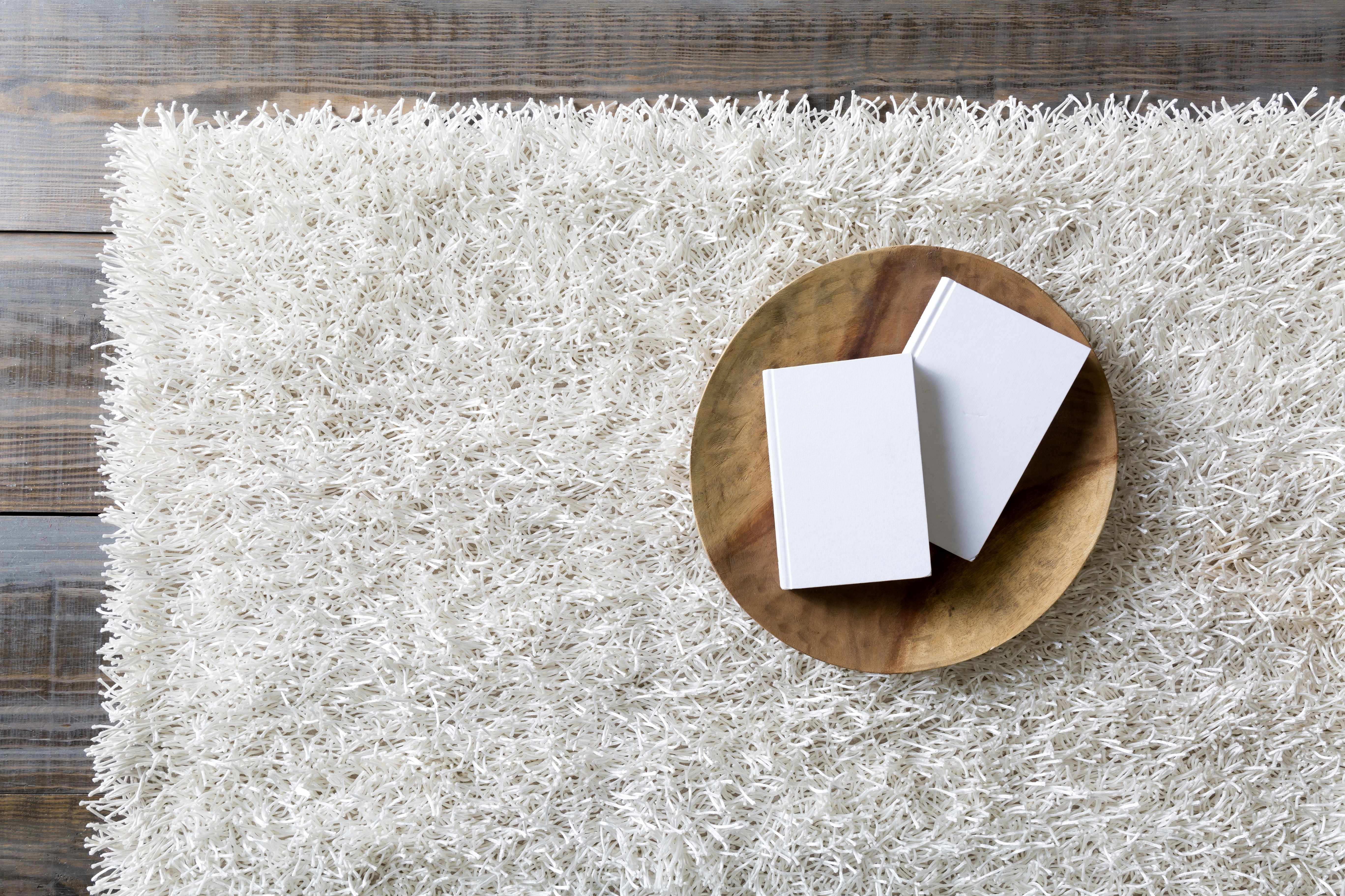 Browder Solid Beige Shag Area Rug - Clearance - Image 9
