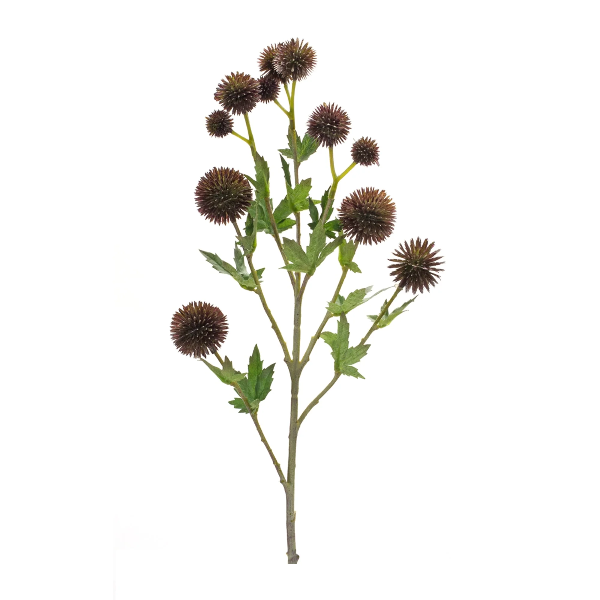 Brown Allium Floral Spray (Set of 6) - Image 2